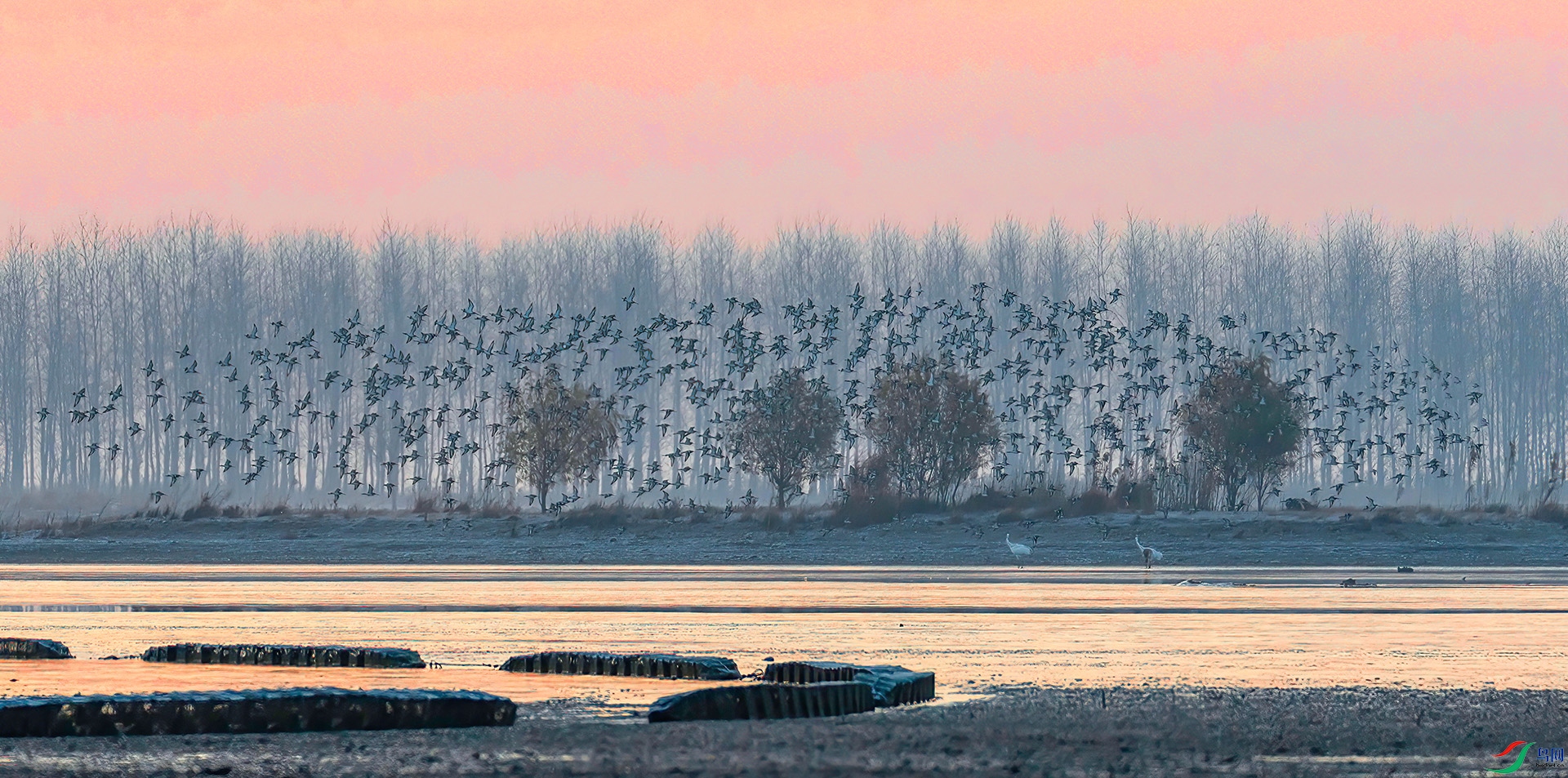 _60A9283 ����-Sh----1 .jpg