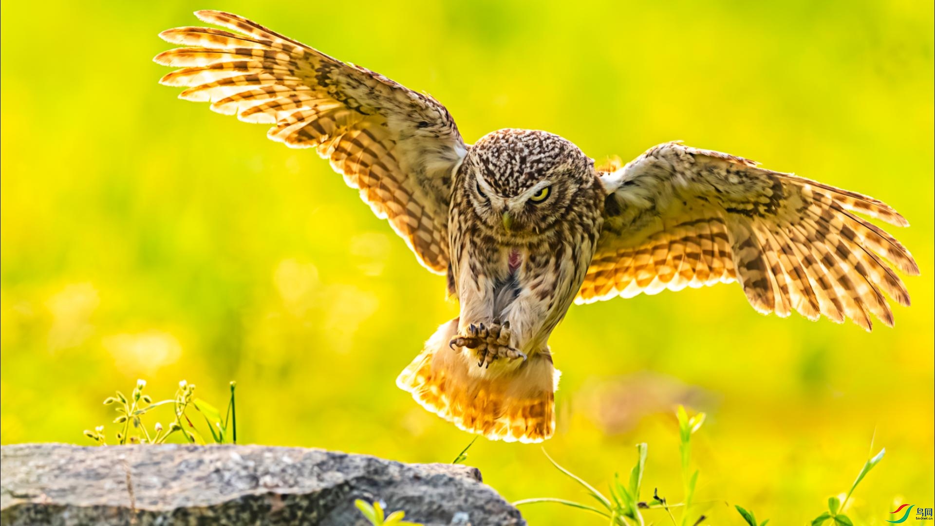 6��1�� (2)-����.jpg