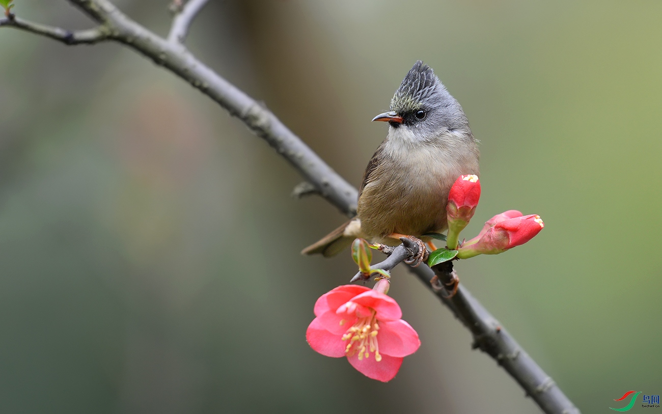 DSC_72351.jpg