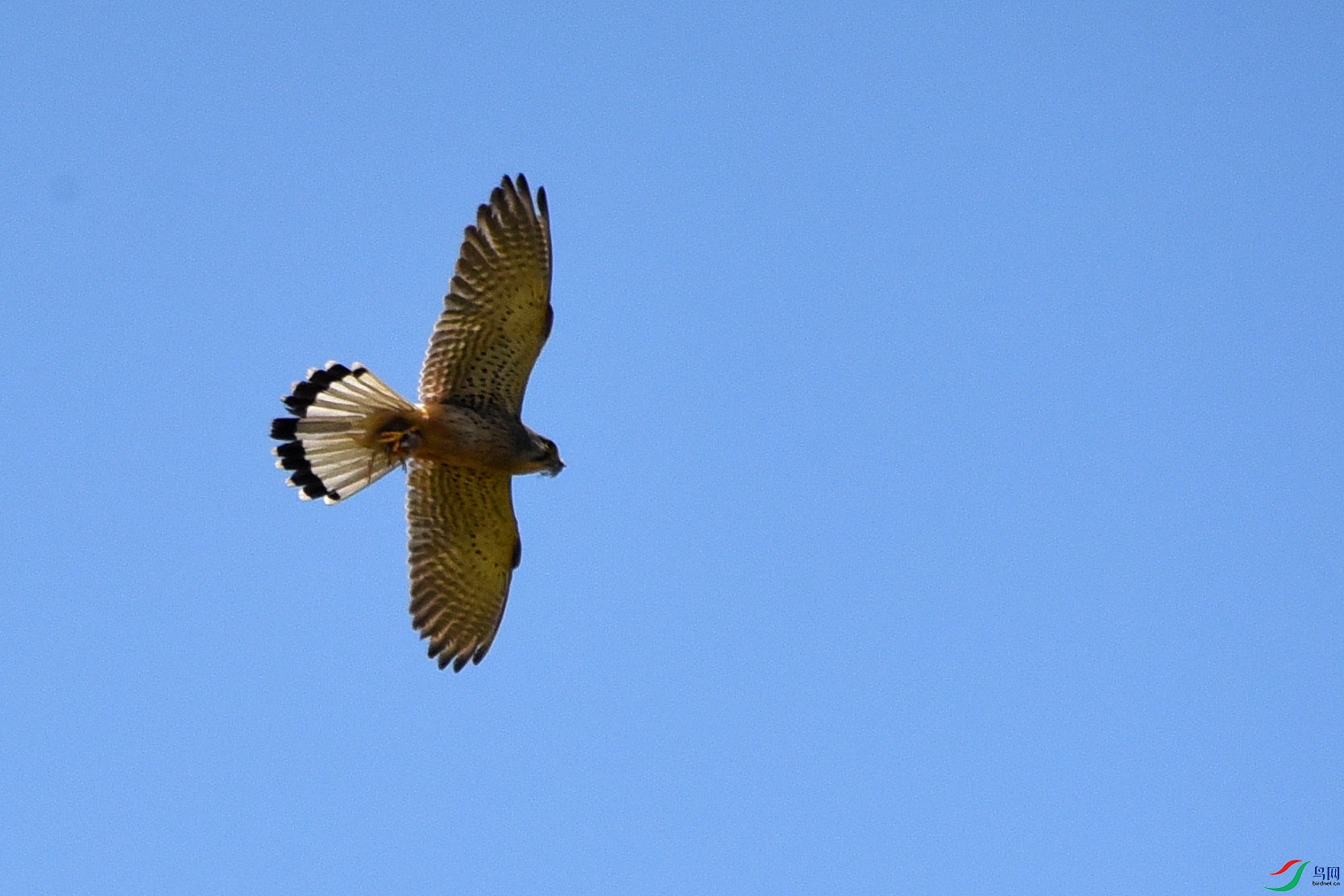 DSC_1116.JPG