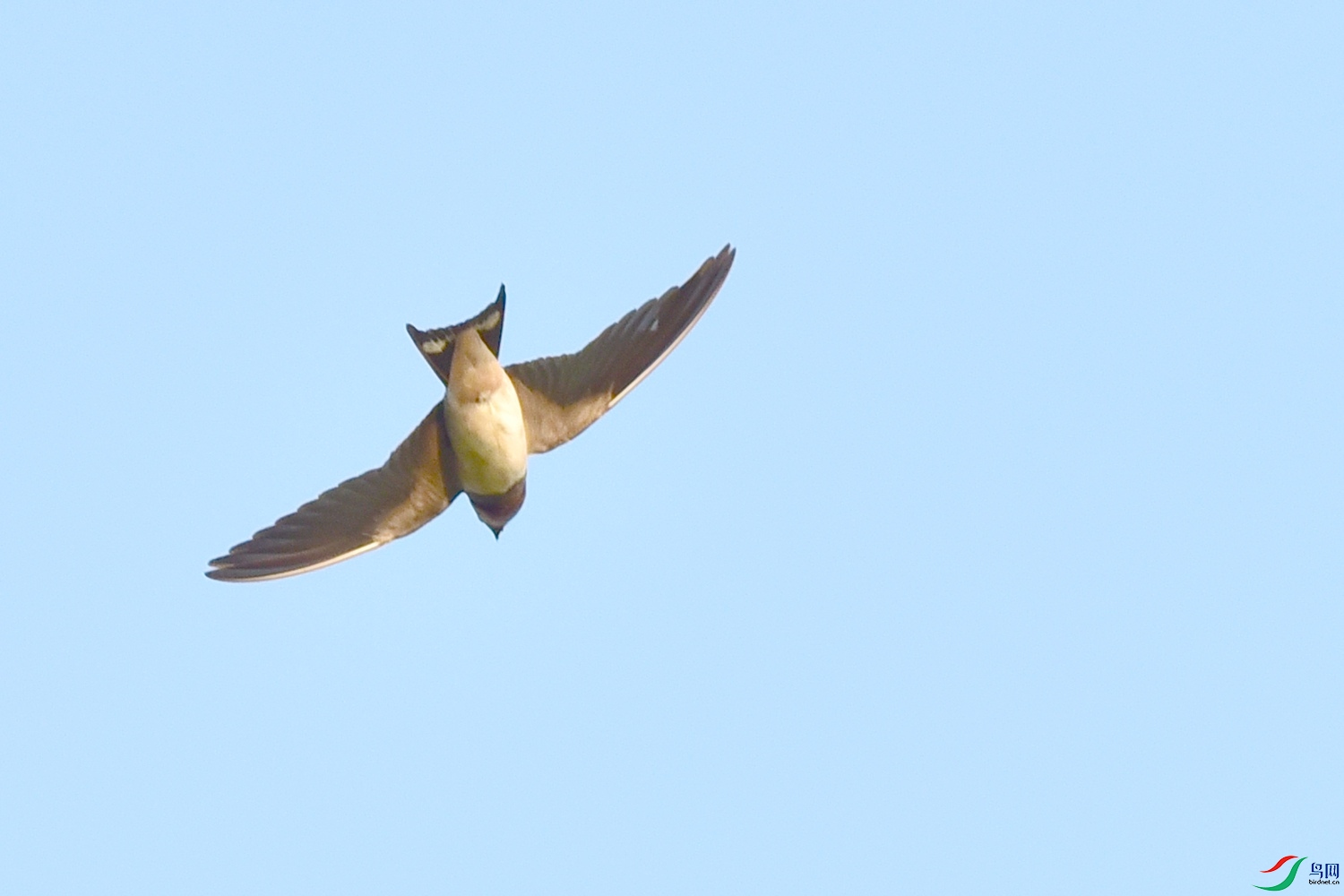 DSC_7675.JPG
