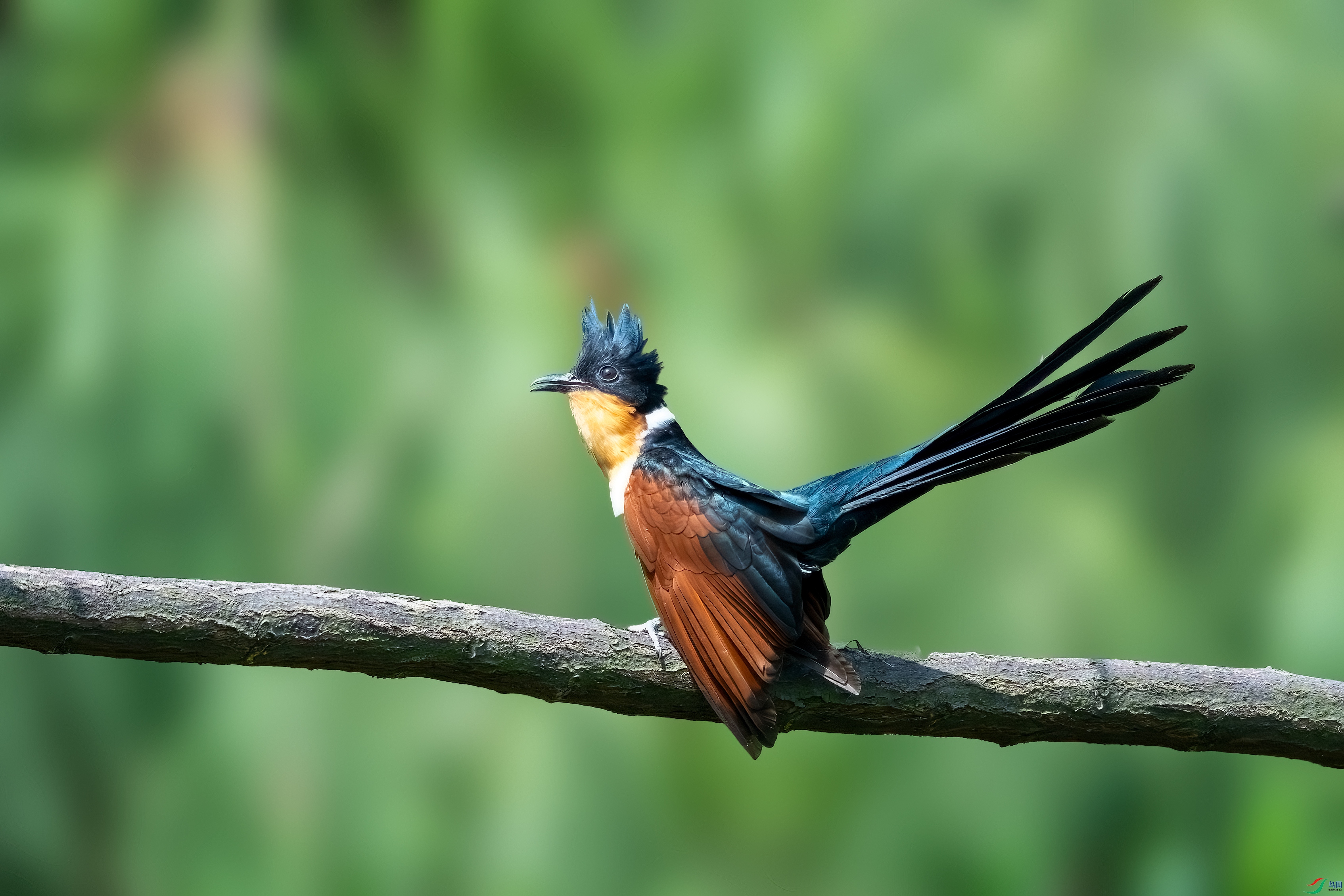 _DSC5582 ����.jpg