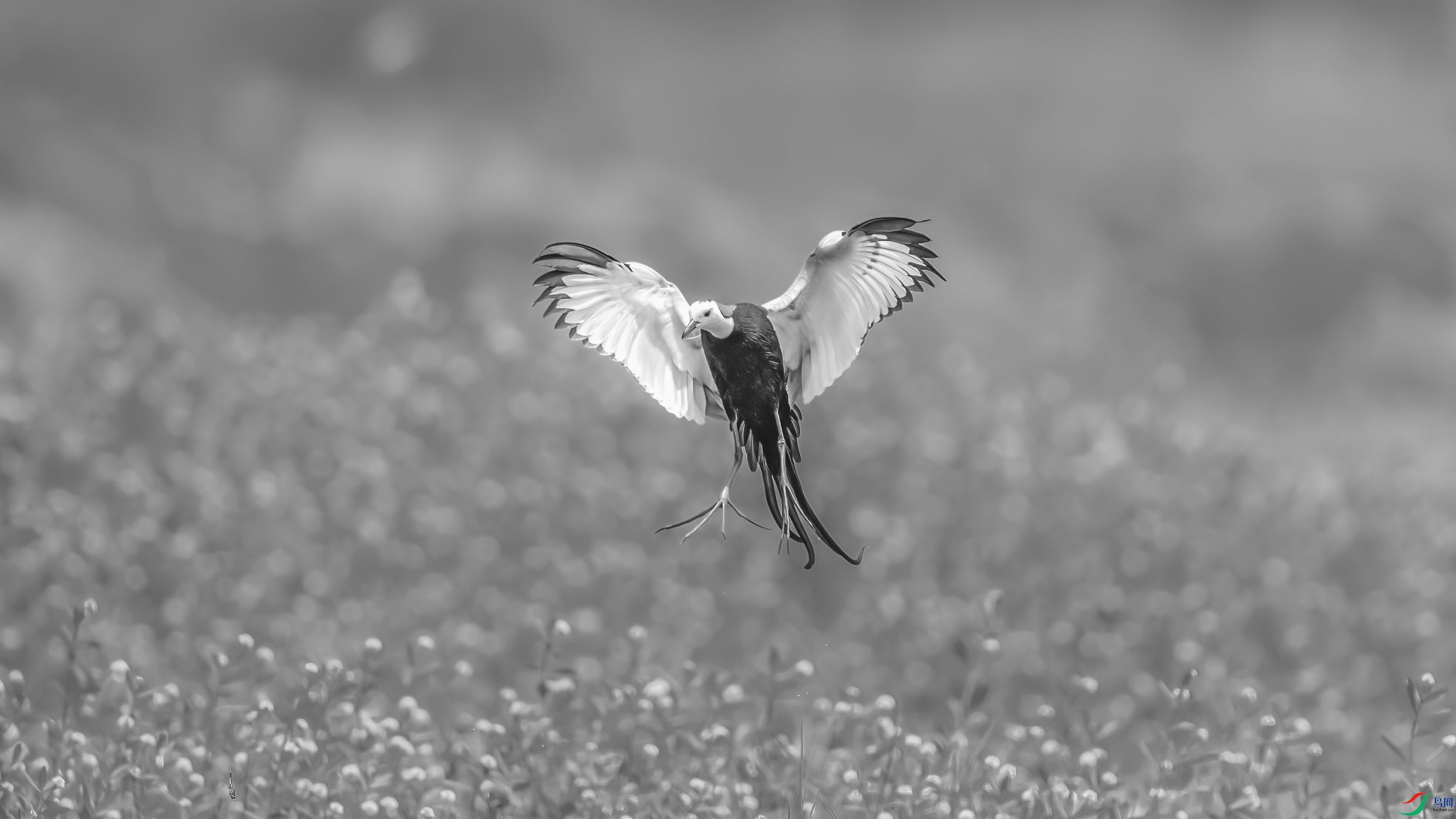 C09R5073 ����1.jpg