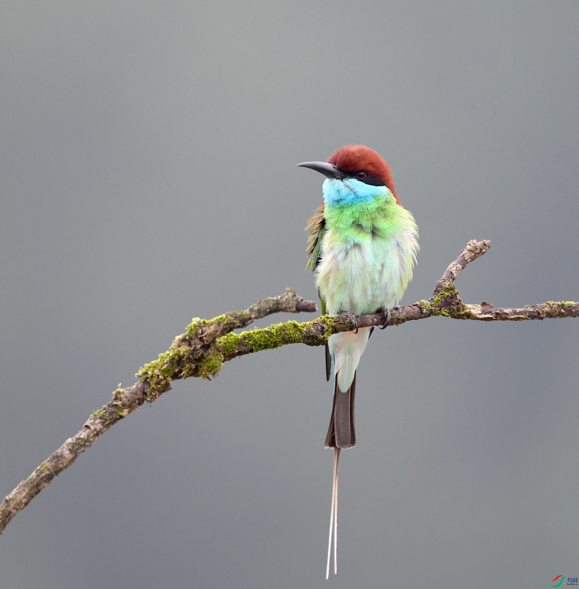 DSC_0661.jpg
