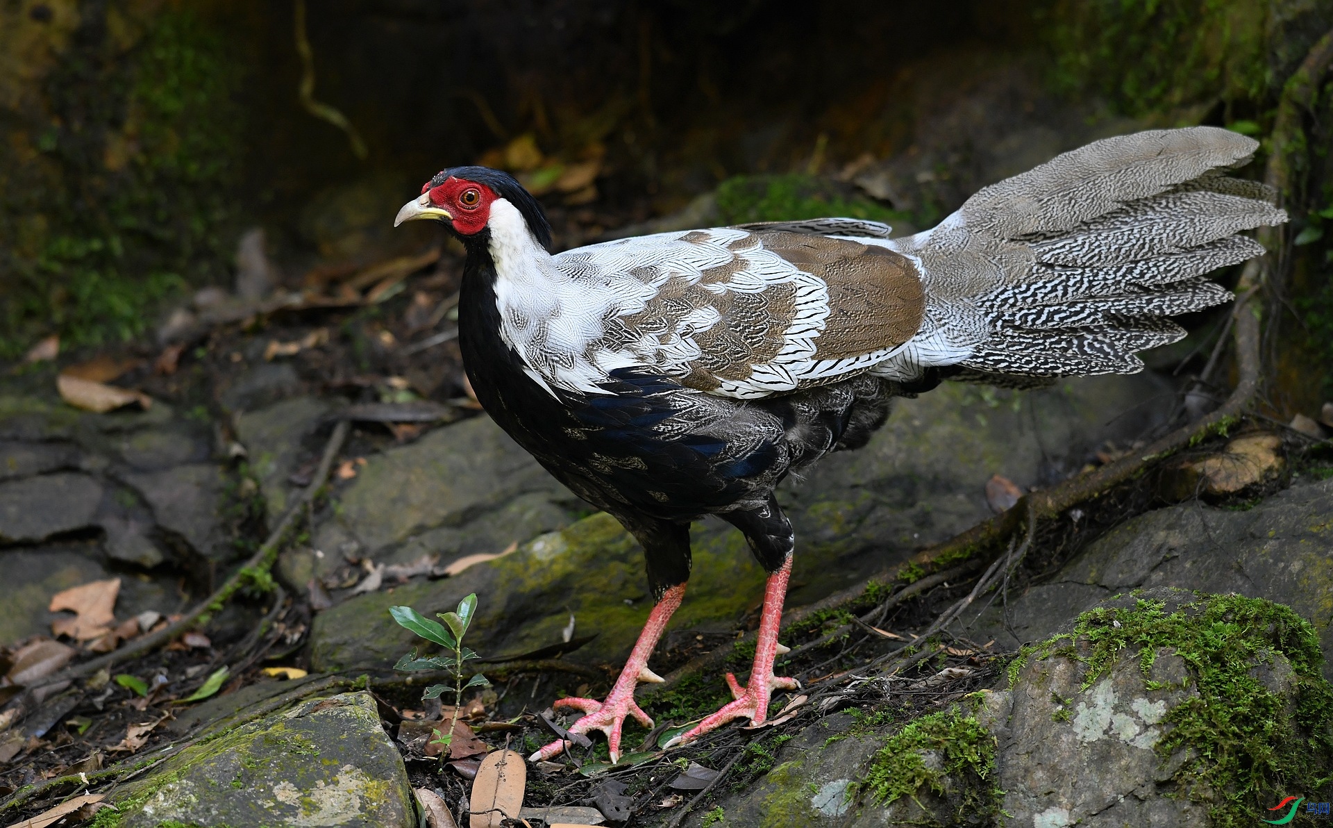 DSC_6419.jpg