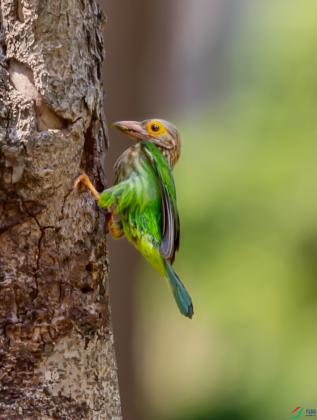 DSC_6121.jpg