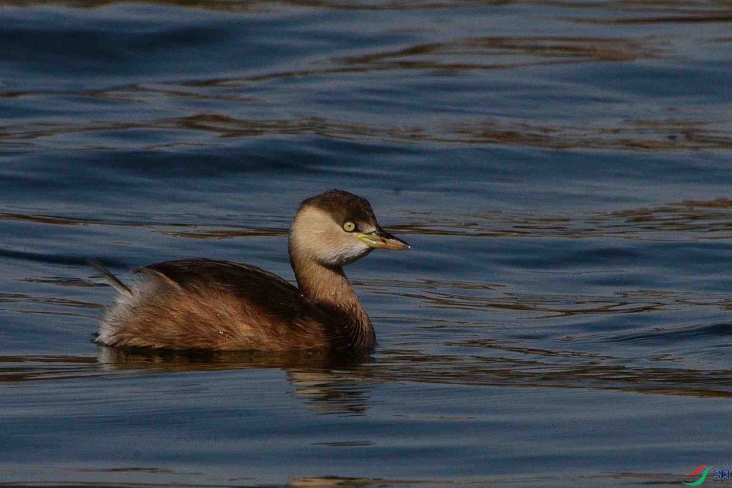 DSC_1279.JPG