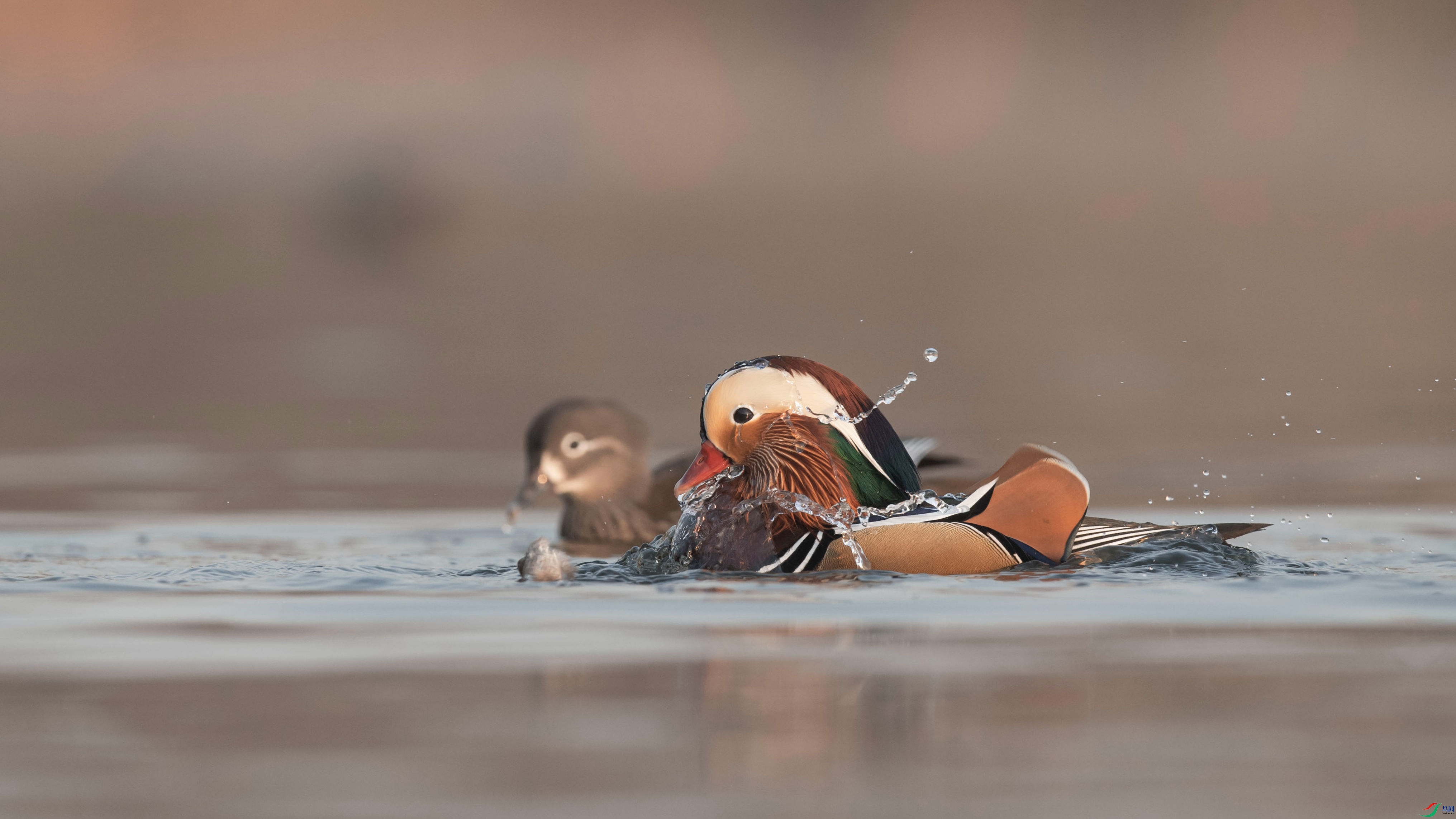 _DSC3831_����.jpg