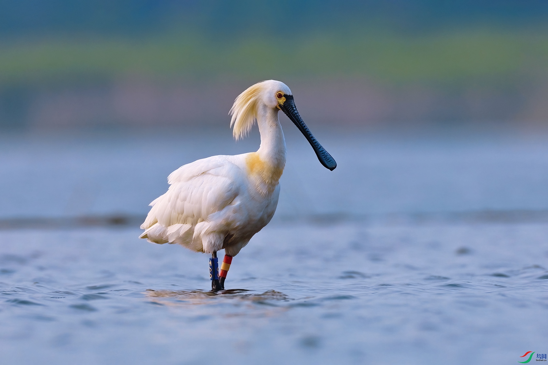 6��1�� (2) ����.jpg