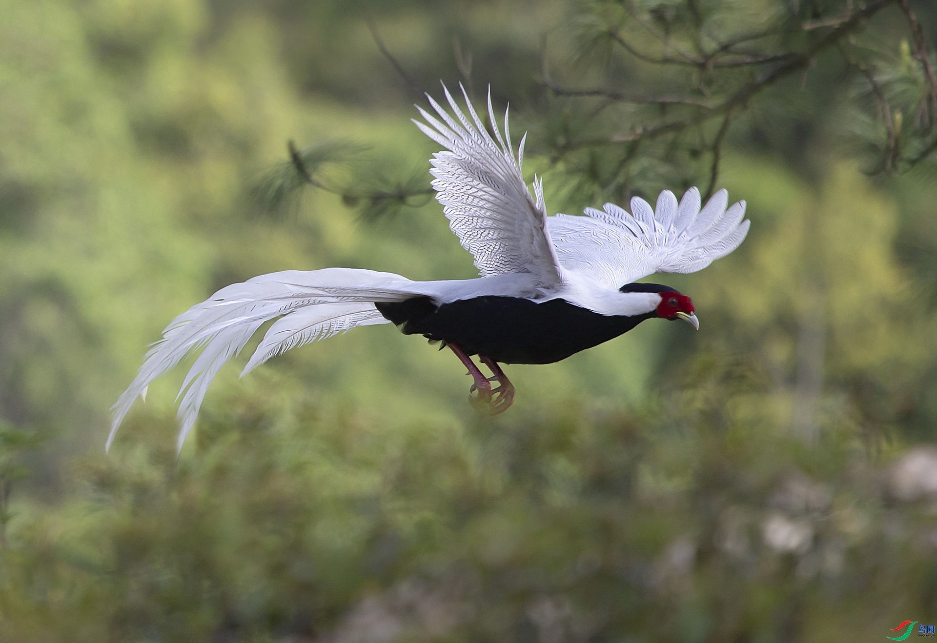 ���µķ���  ���� �������99  ��һ.jpg