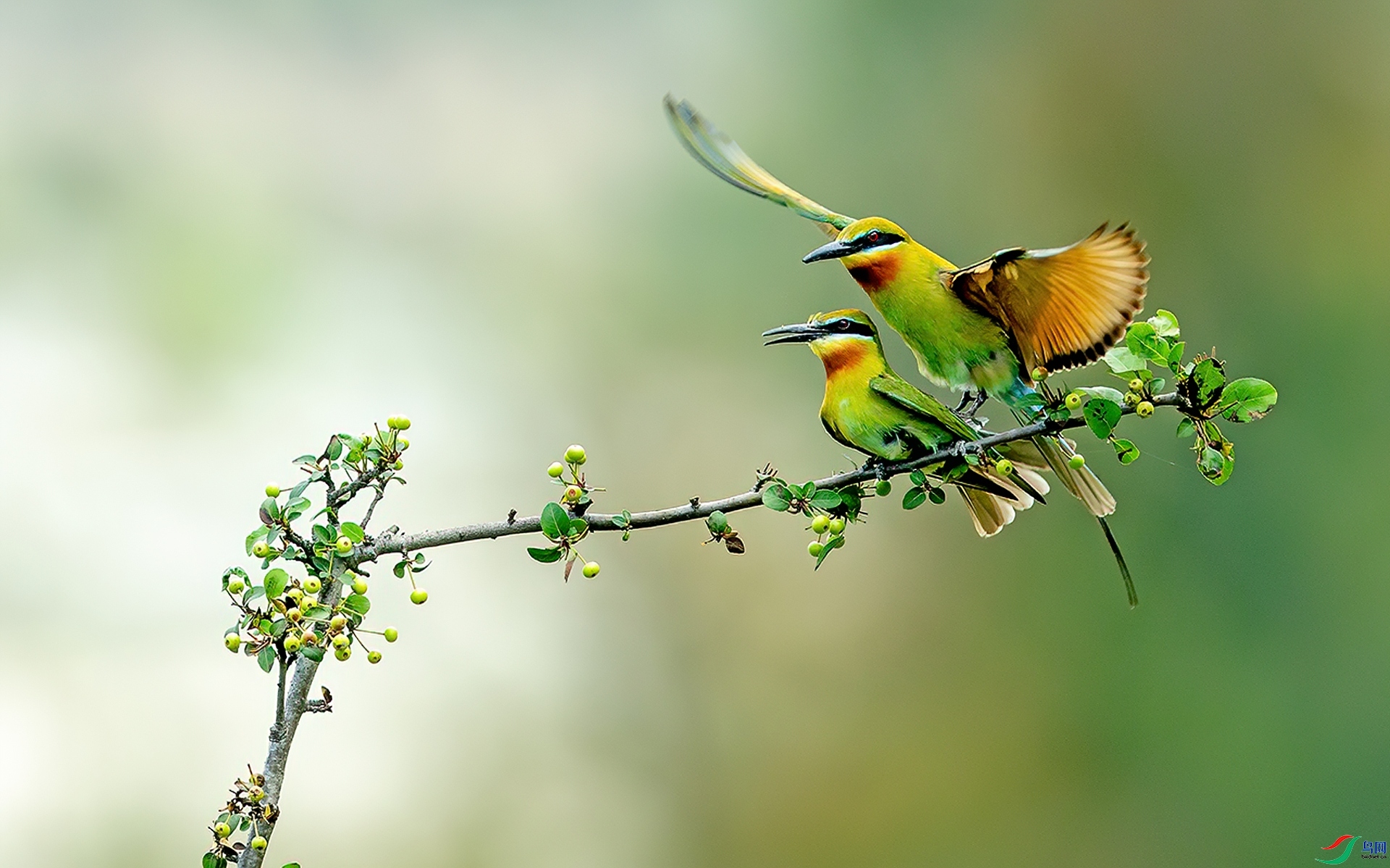 �����Ĵ���  ���� л���� ��һ.jpg