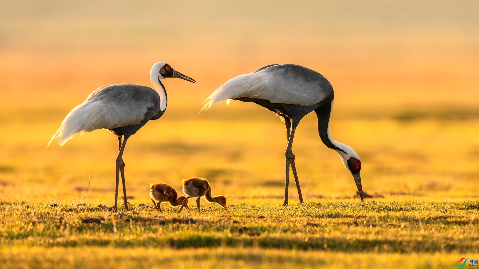 ȫ�Ҹ�  ���� �������� �ܶ�.jpg