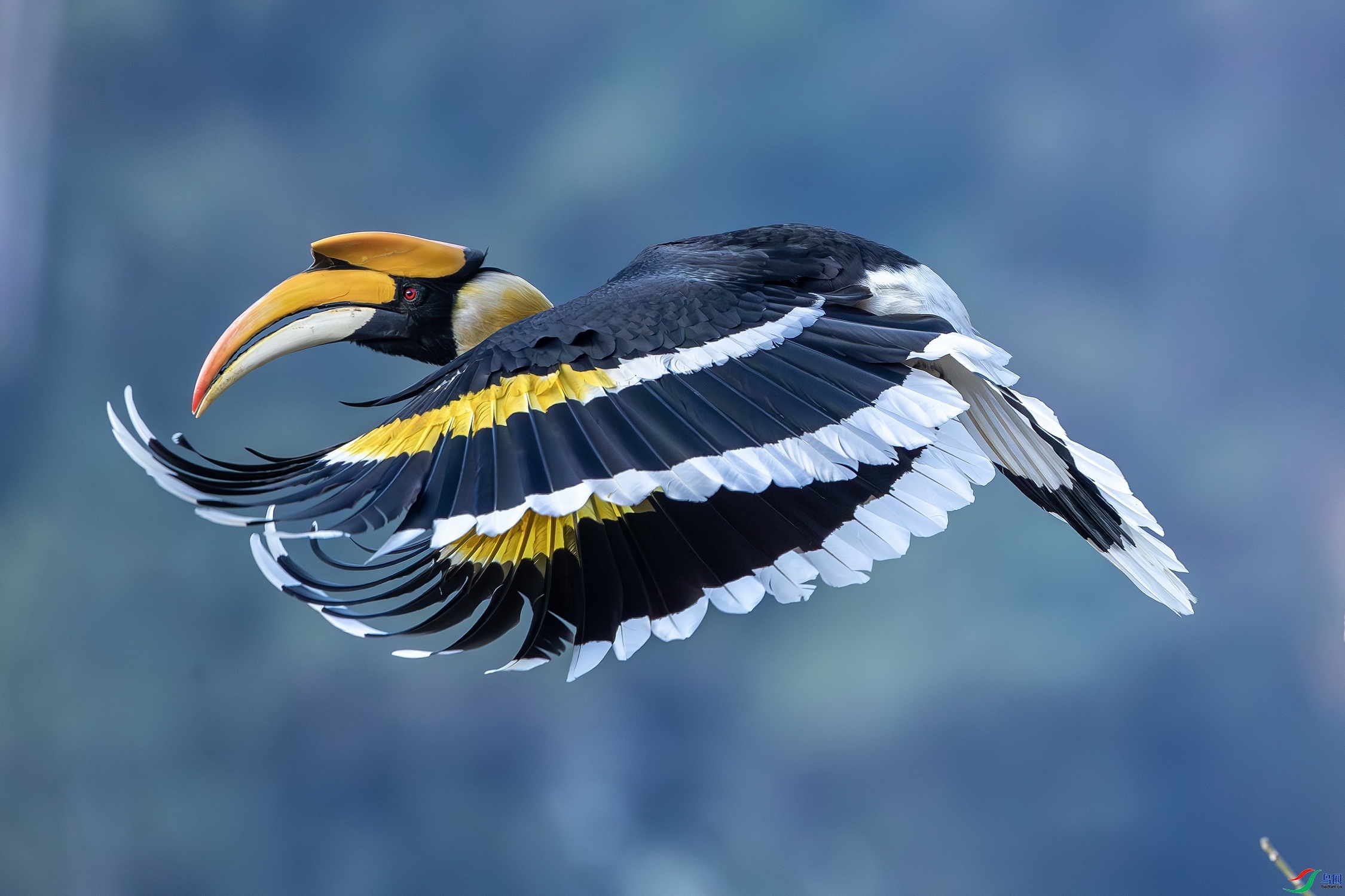 ˫��Ϭ��  ���� ��ʯ  ����.jpg