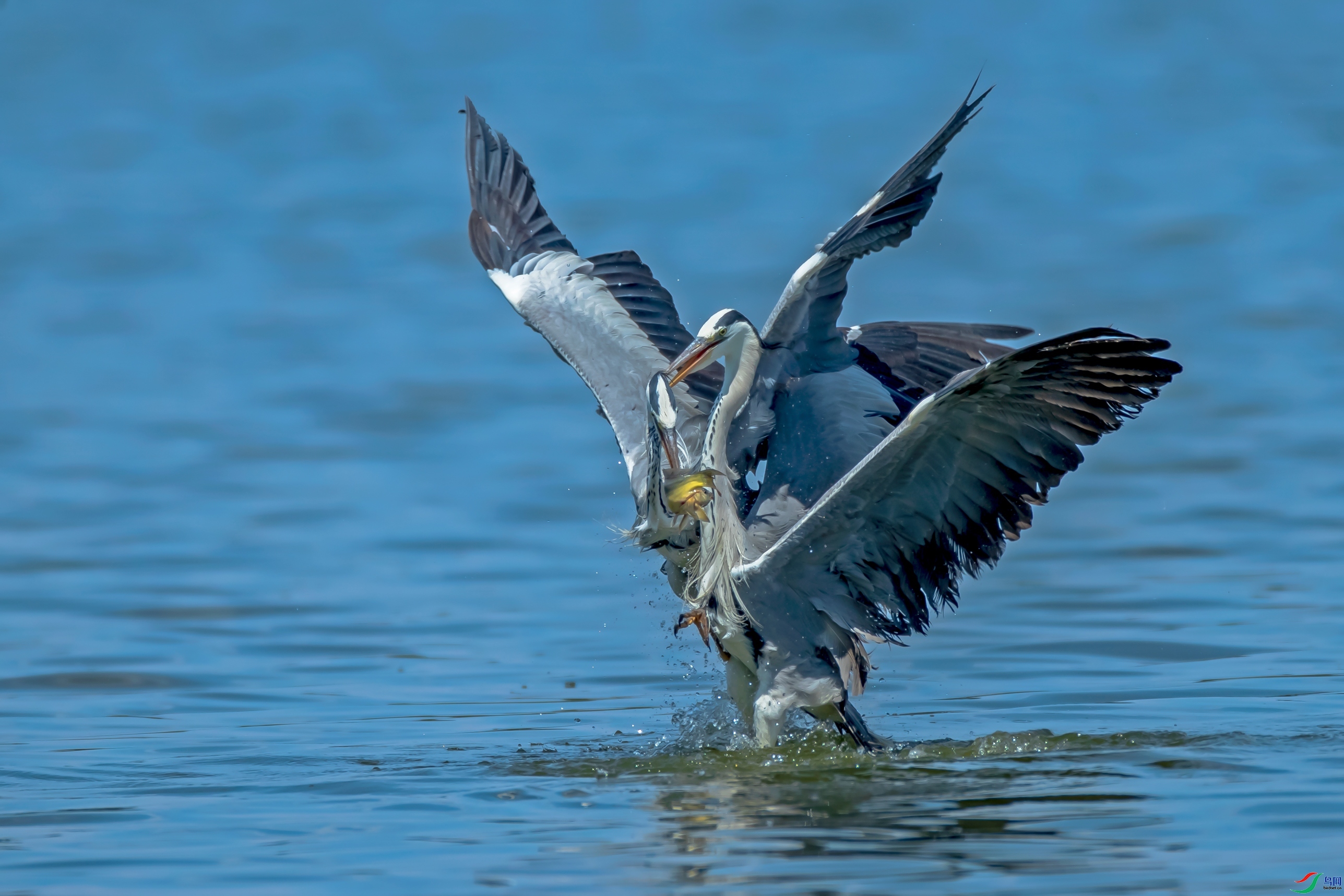 ���������  ���� ͬ������ ����.jpg