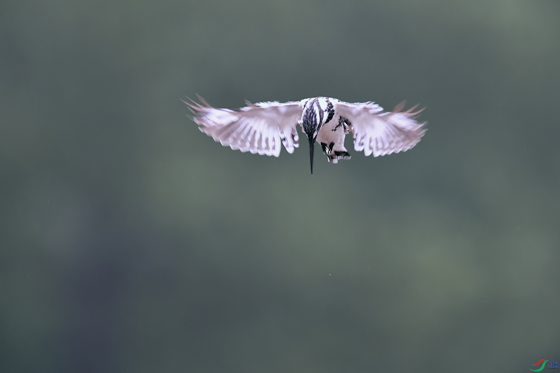 3DSC_4941_DxOa.jpg