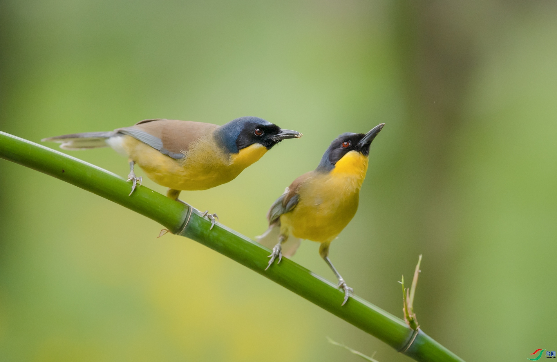 ��������  ���� ���� ����.jpg