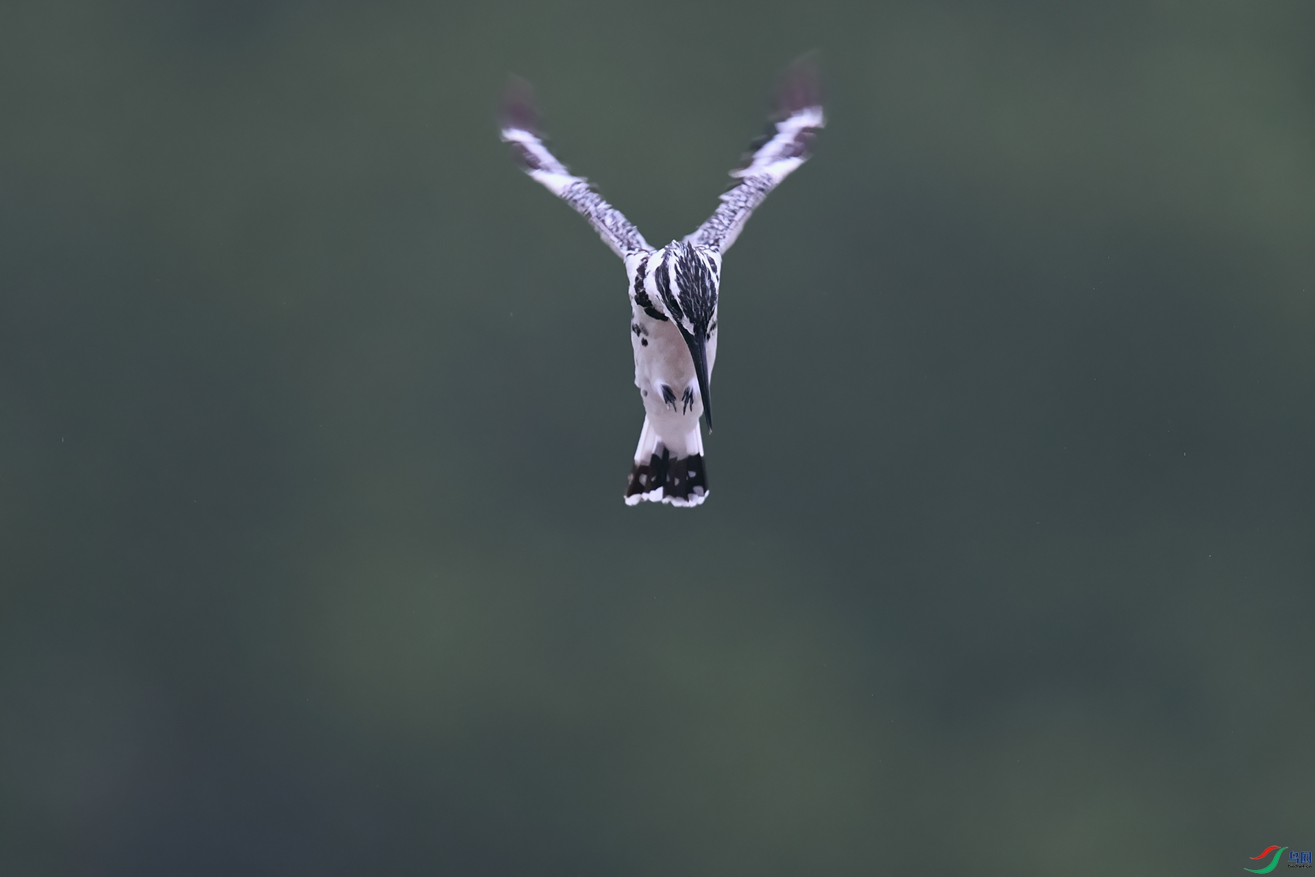 DSC_4930_DxOa.jpg