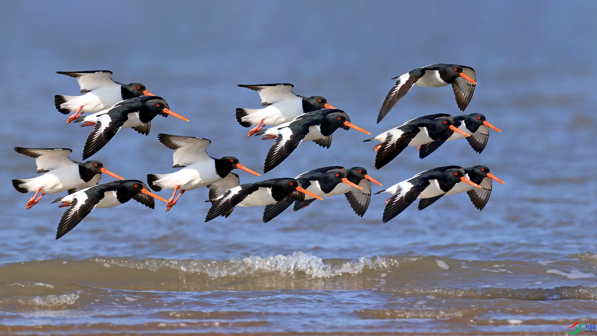 С�ֶ�  ���� ������ ����.jpg