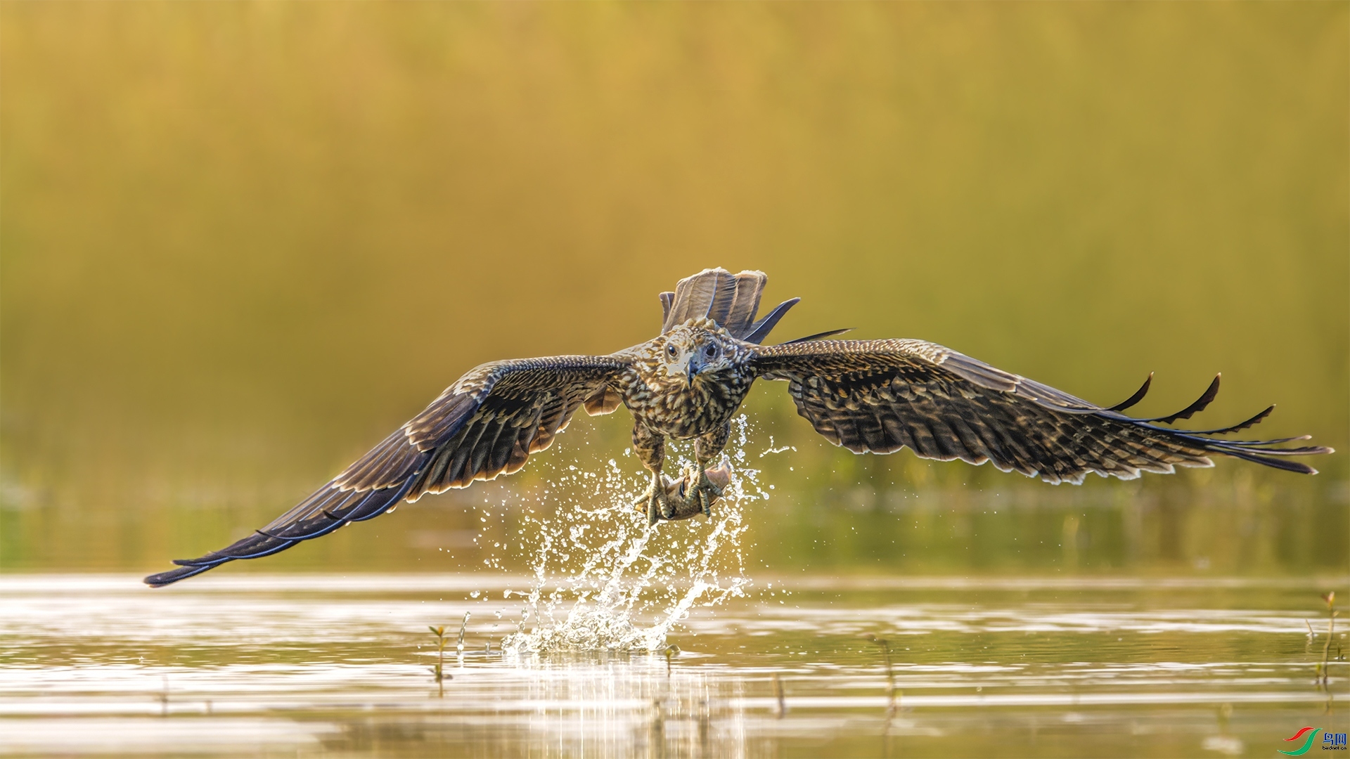 �ĵ��ջ� ���� �ϫ ����.jpg