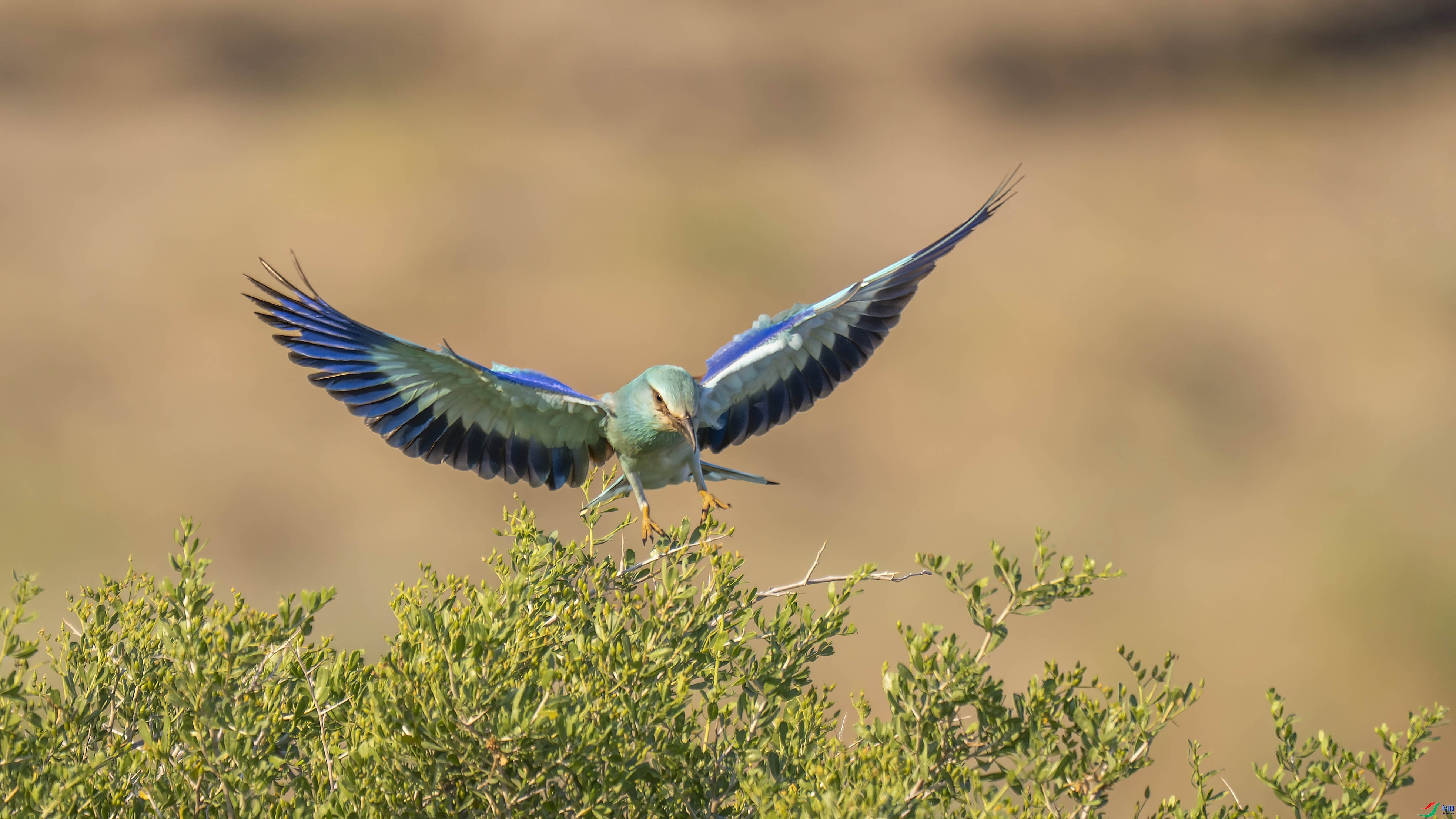 ��Ϣ  ���� ׾��  ����.jpg