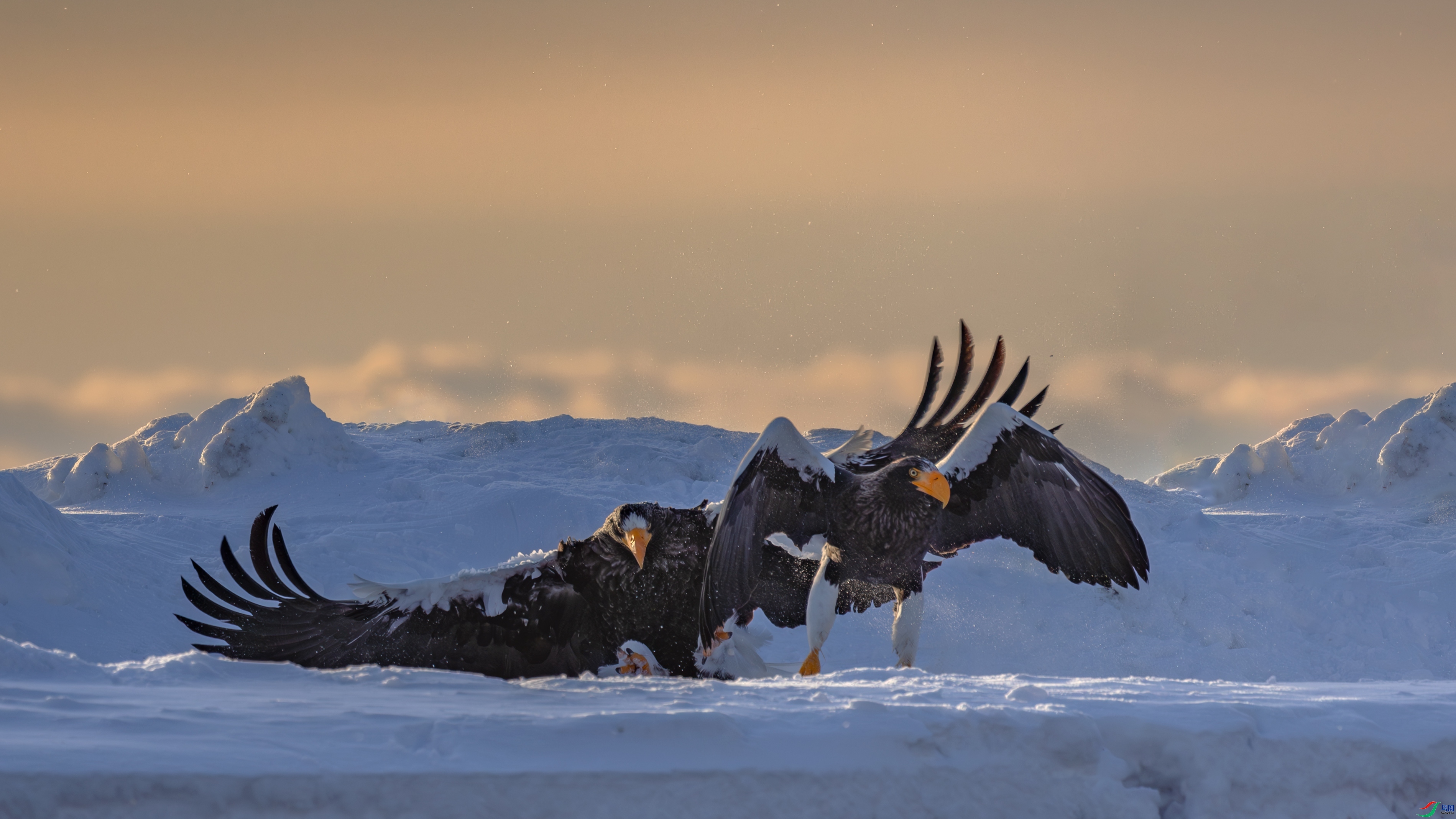 ��  ���� �䱾���� ����.jpg