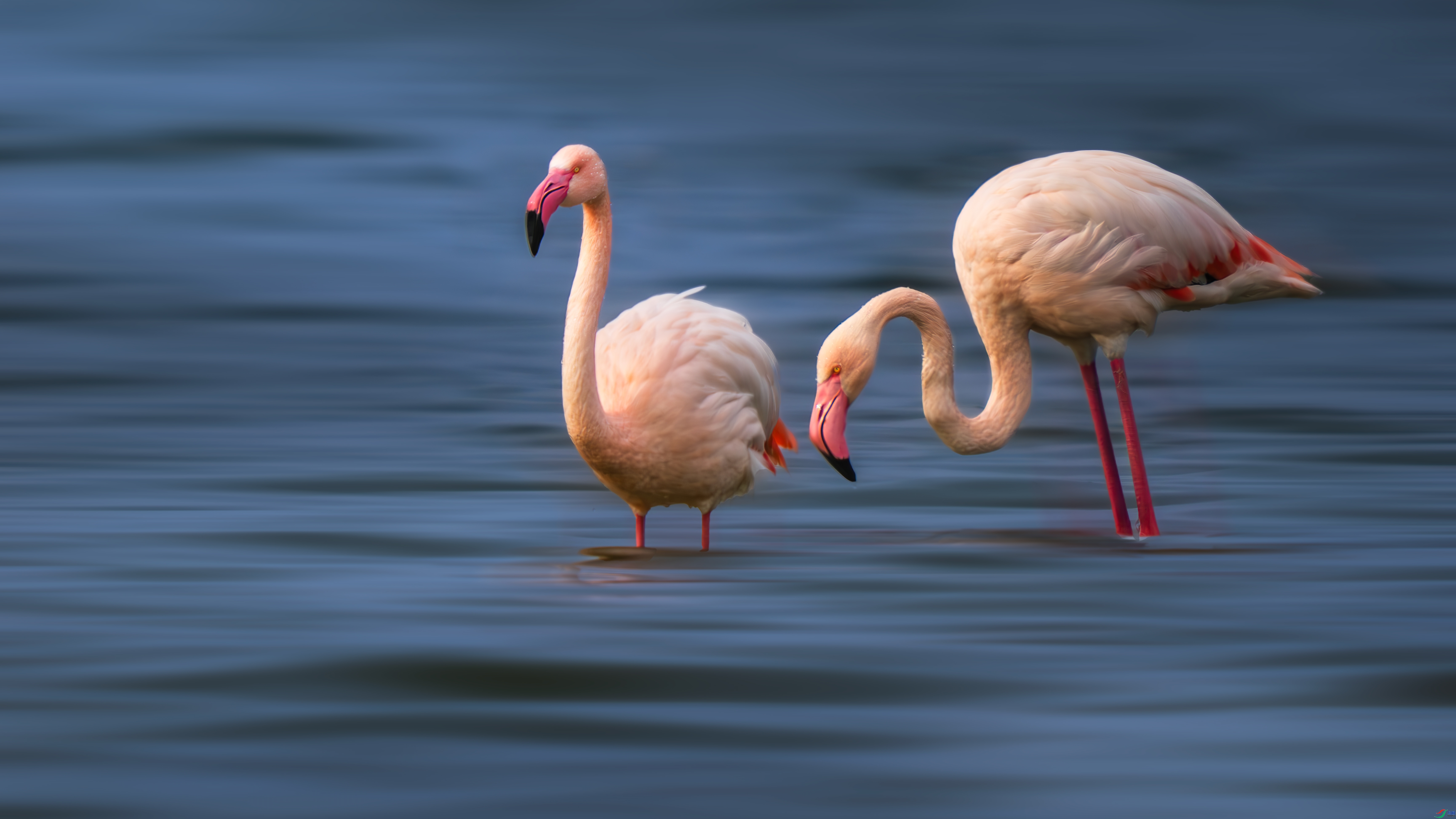 ��Ӱ���� ���� С���� ����.jpg