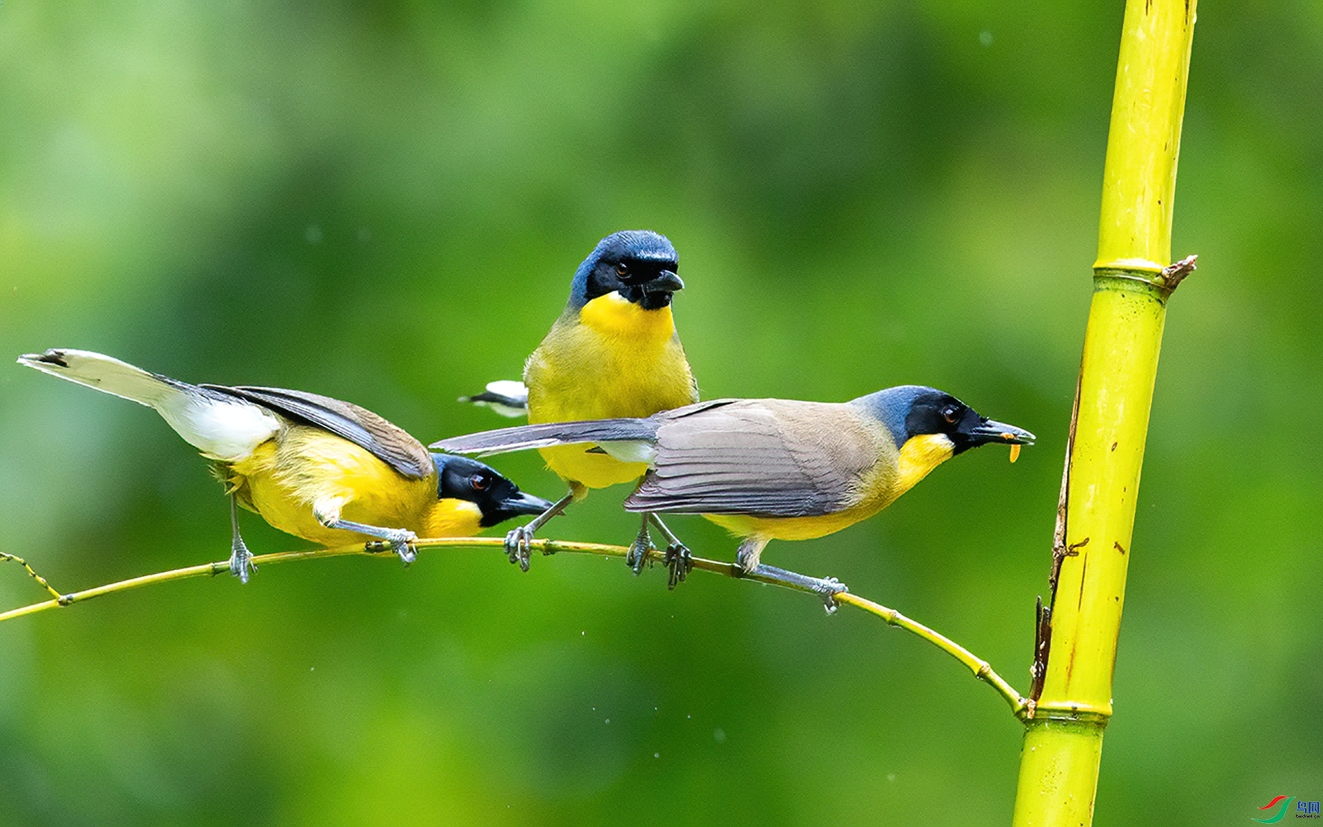 ������� ���� л���� ����.jpg