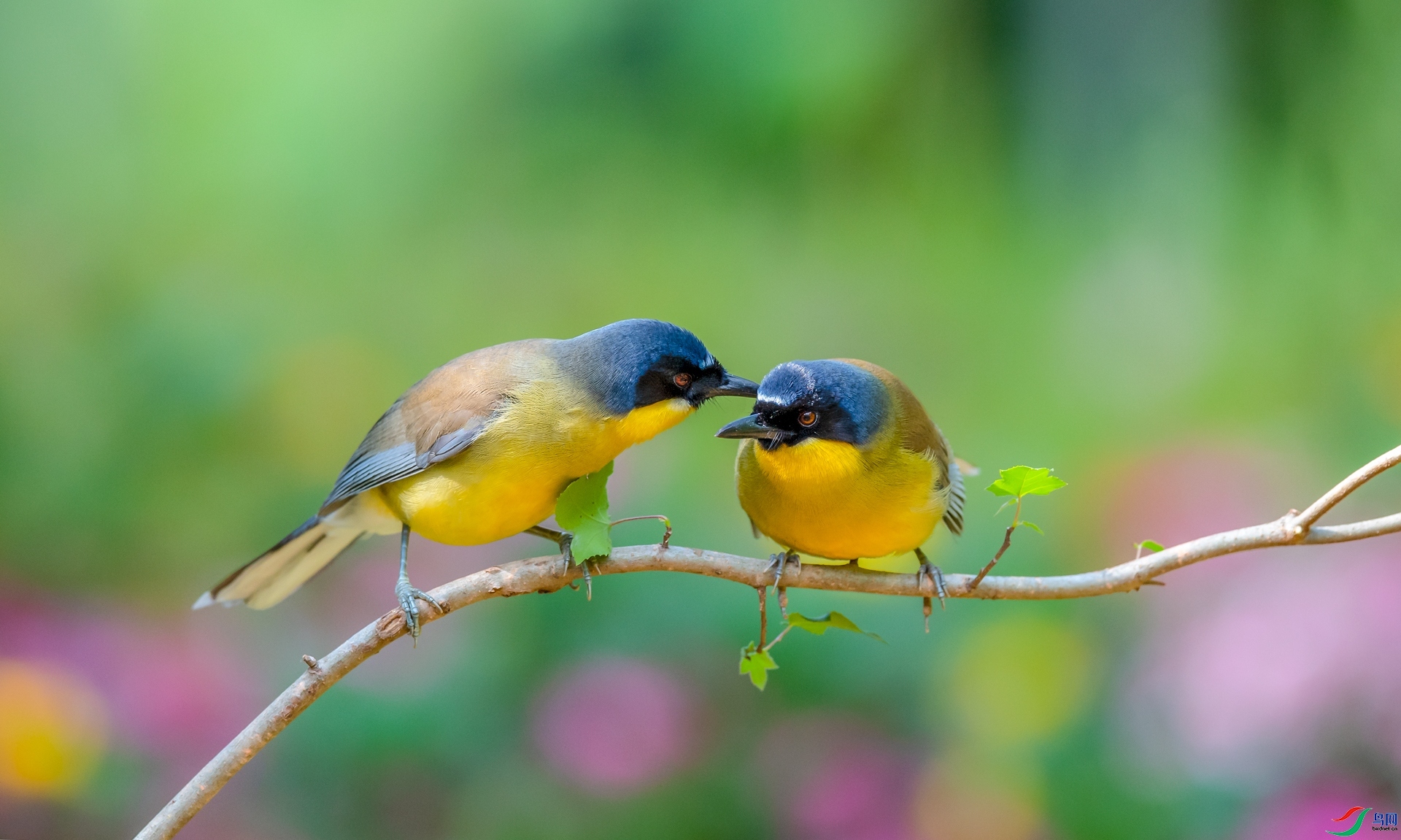 ����  ���� ���� ����.jpg