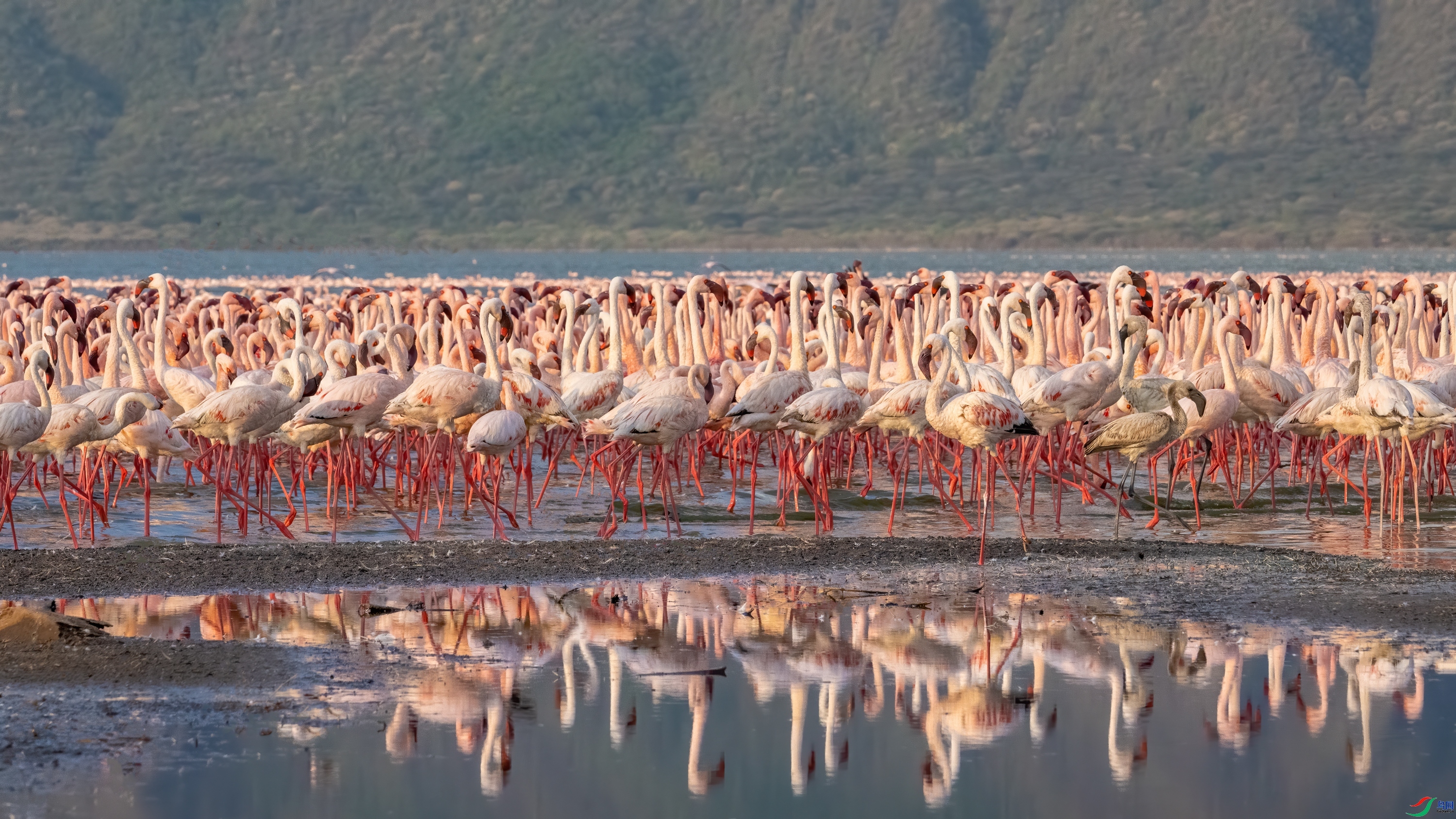 ����  ���� ��Ͽ֮�� ����.jpg