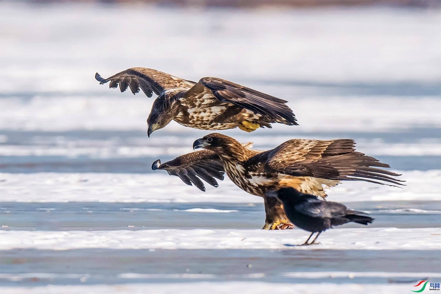 ������ ���� ͧ�� ����.jpg