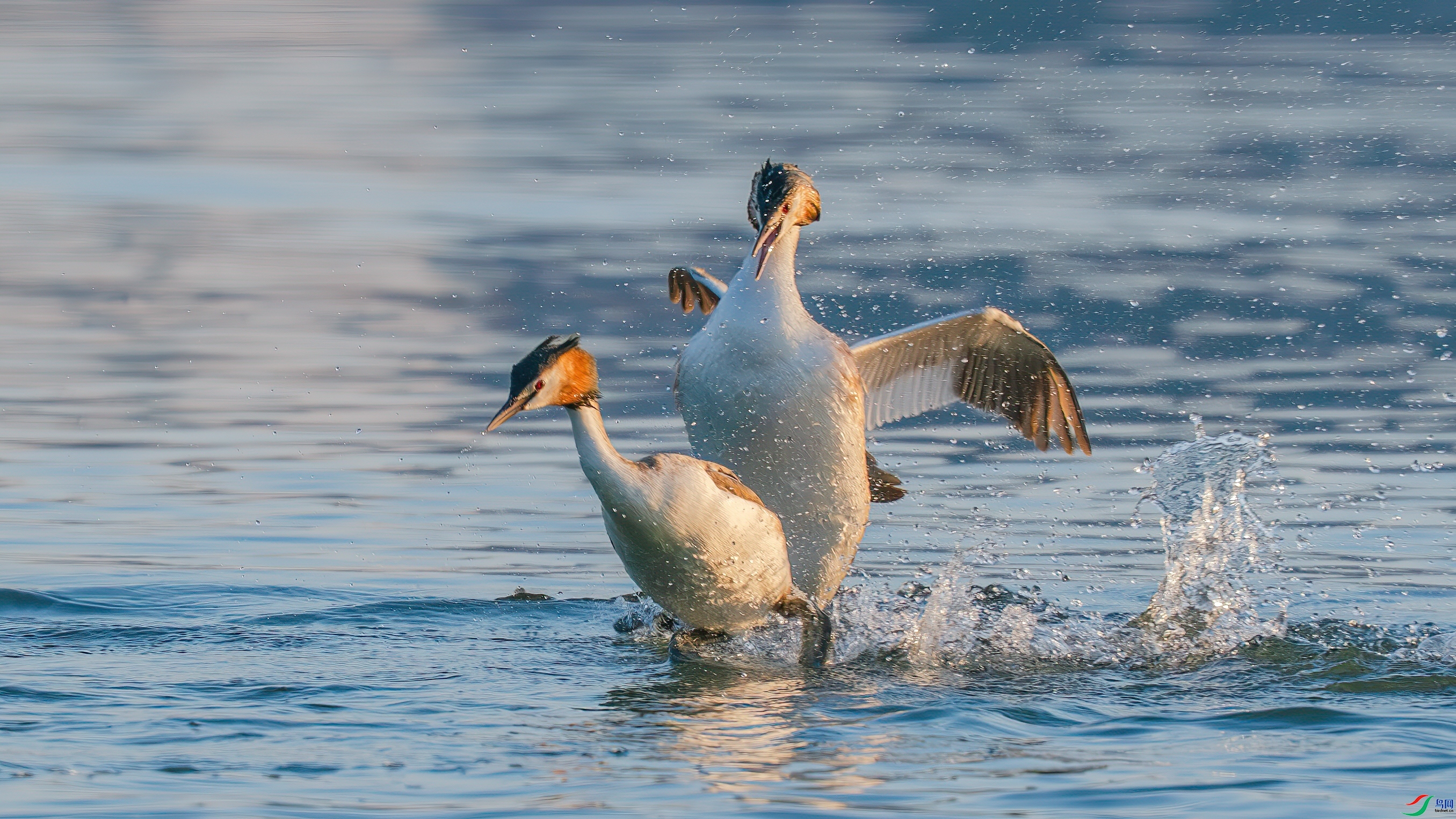 ���� ���� ľ�� ����.jpg