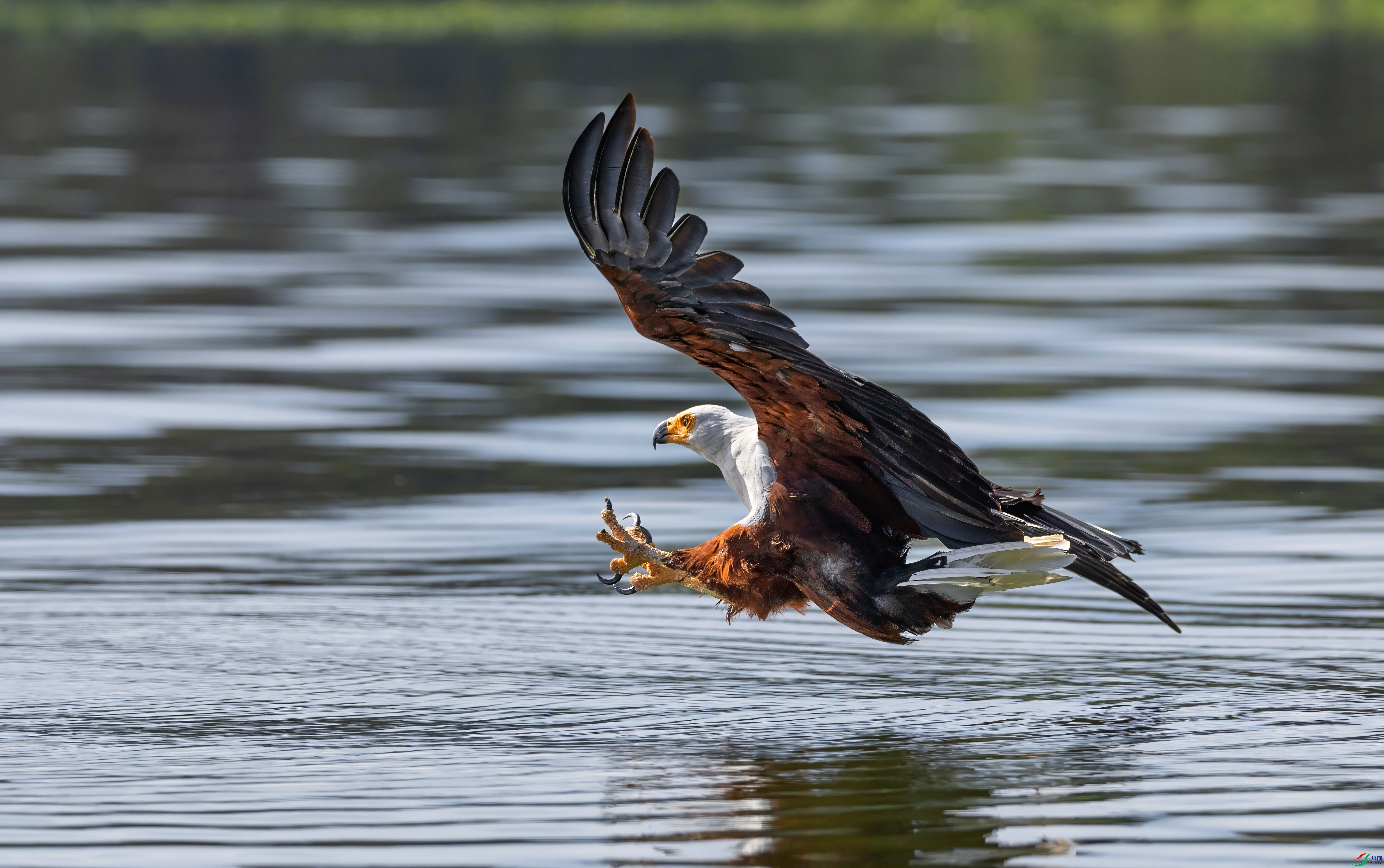 ���޺���  ���� �ܷ� ����.jpeg