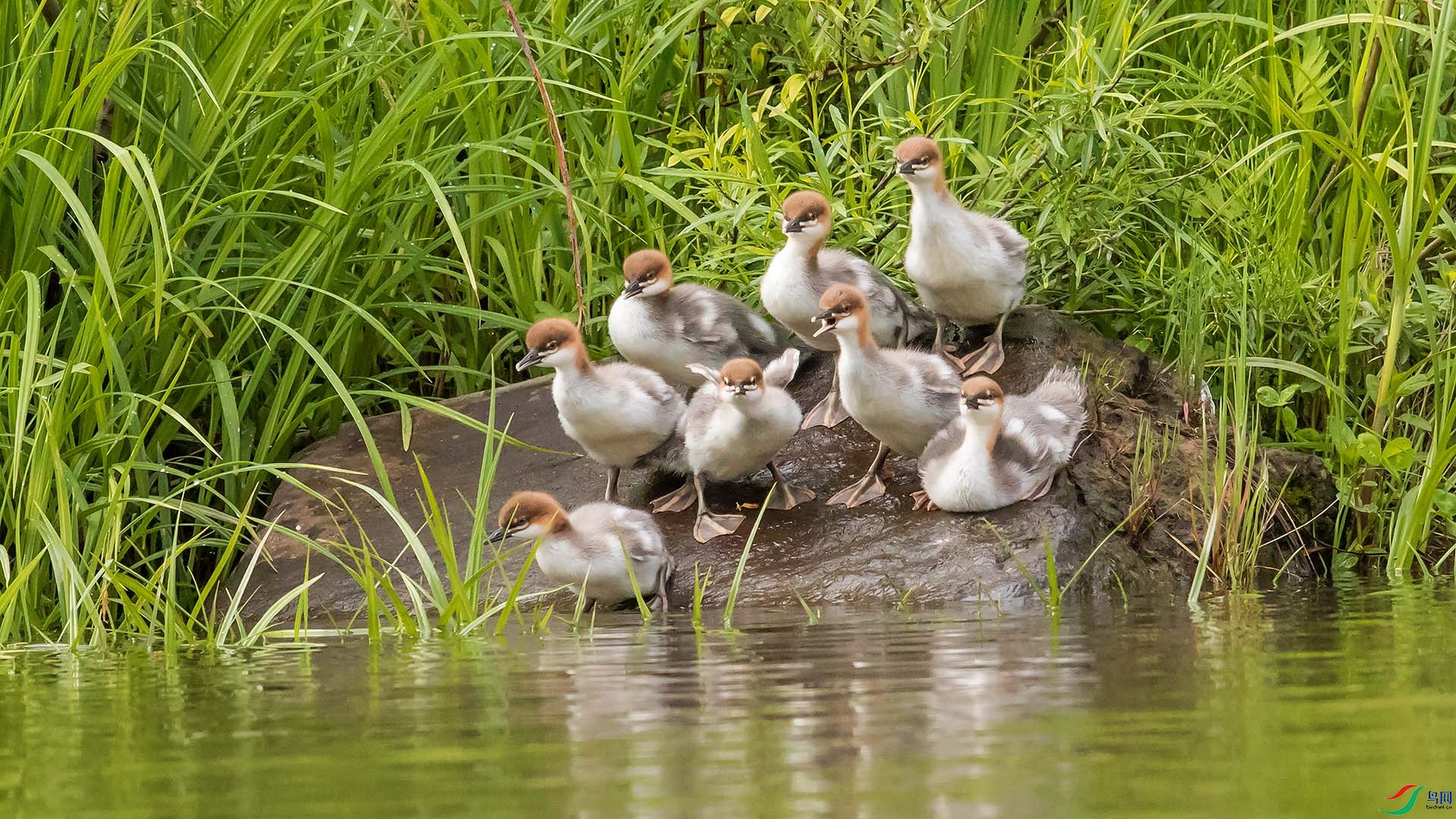 _00A6173.psd-1.jpg
