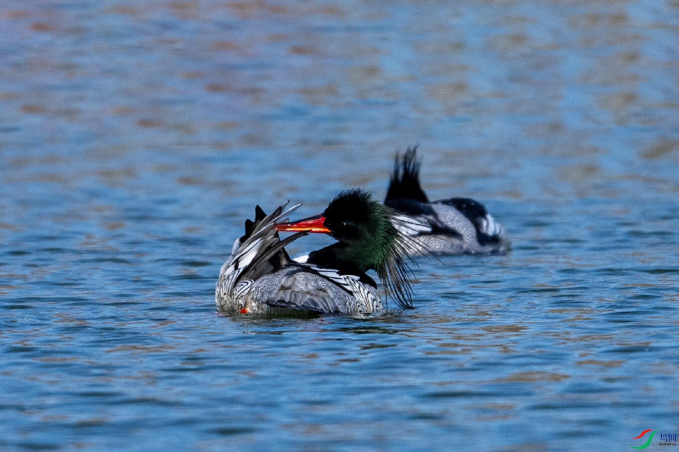 _DSC1786 ����.jpg