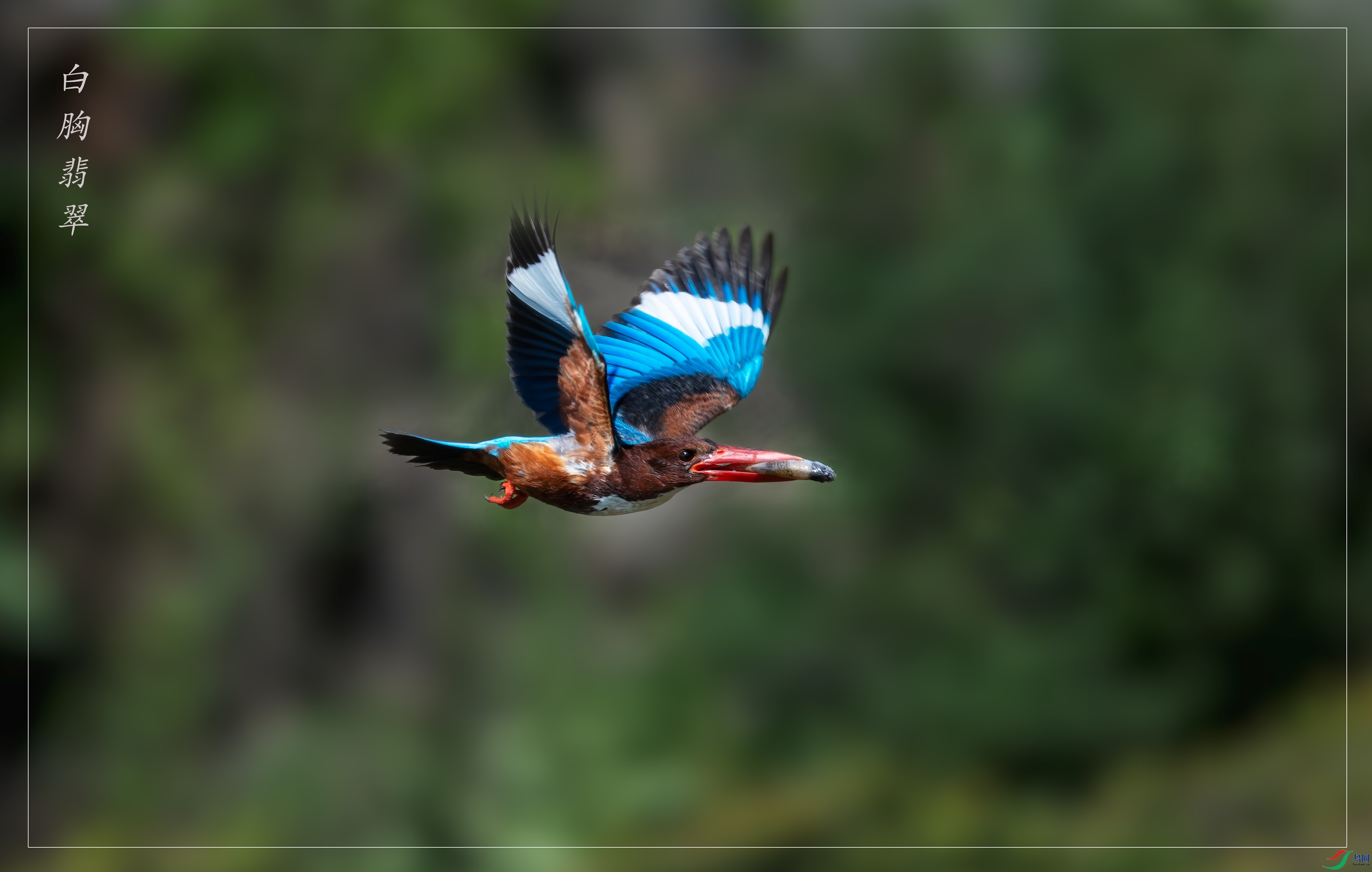 DSC_1553-NEF_DxO_DeepPRIMEXD-1.jpg