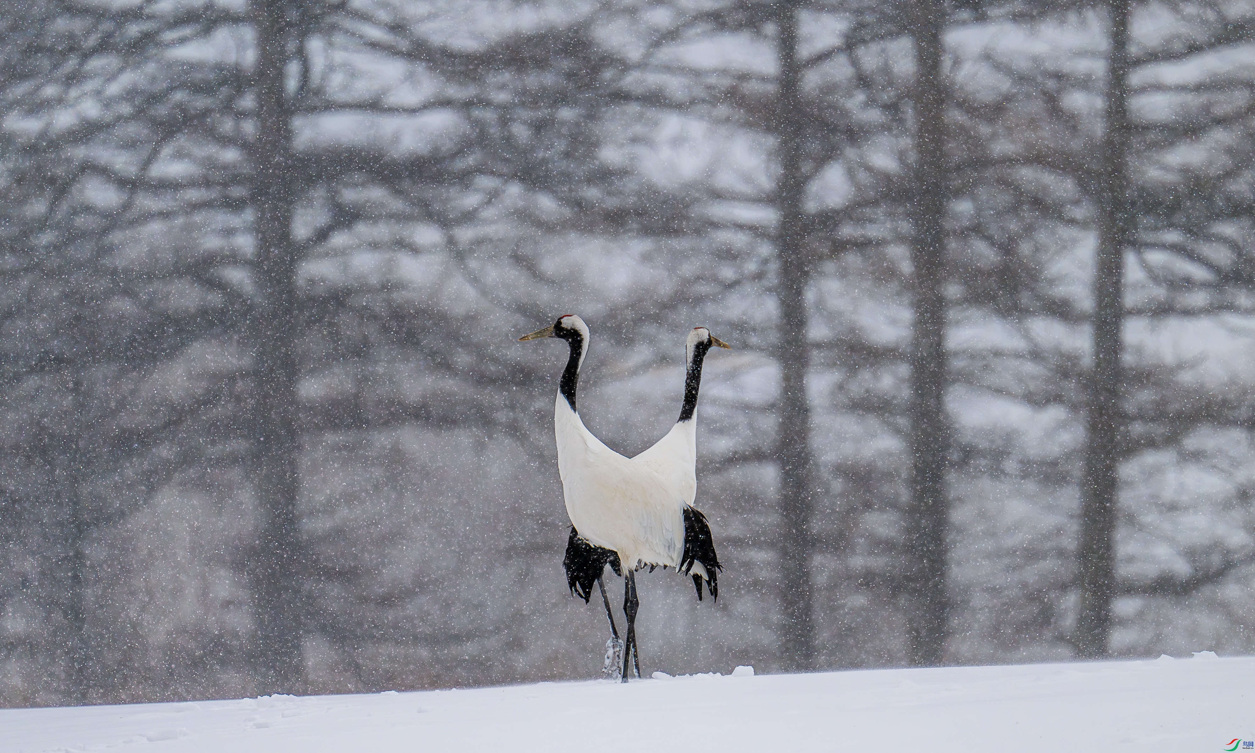 _DSC6892.jpg