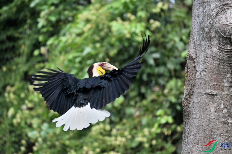 DSC_0410.JPG