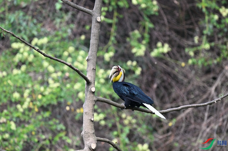 DSC_0274.JPG