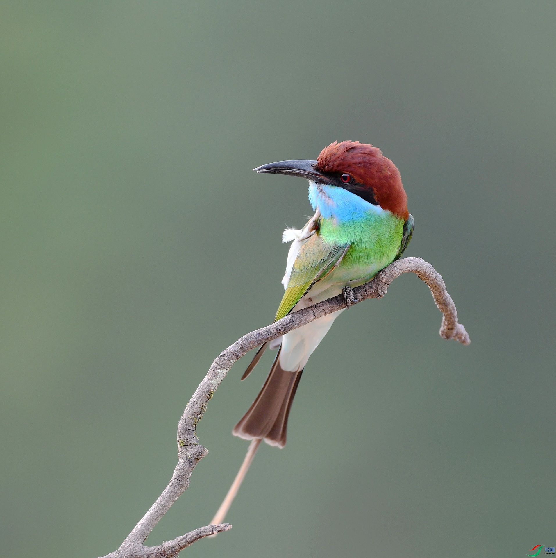 DSC_1466.jpg
