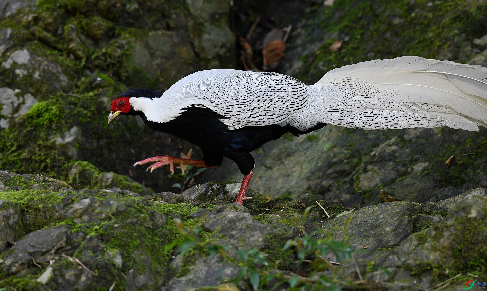 DSC_6381.jpg