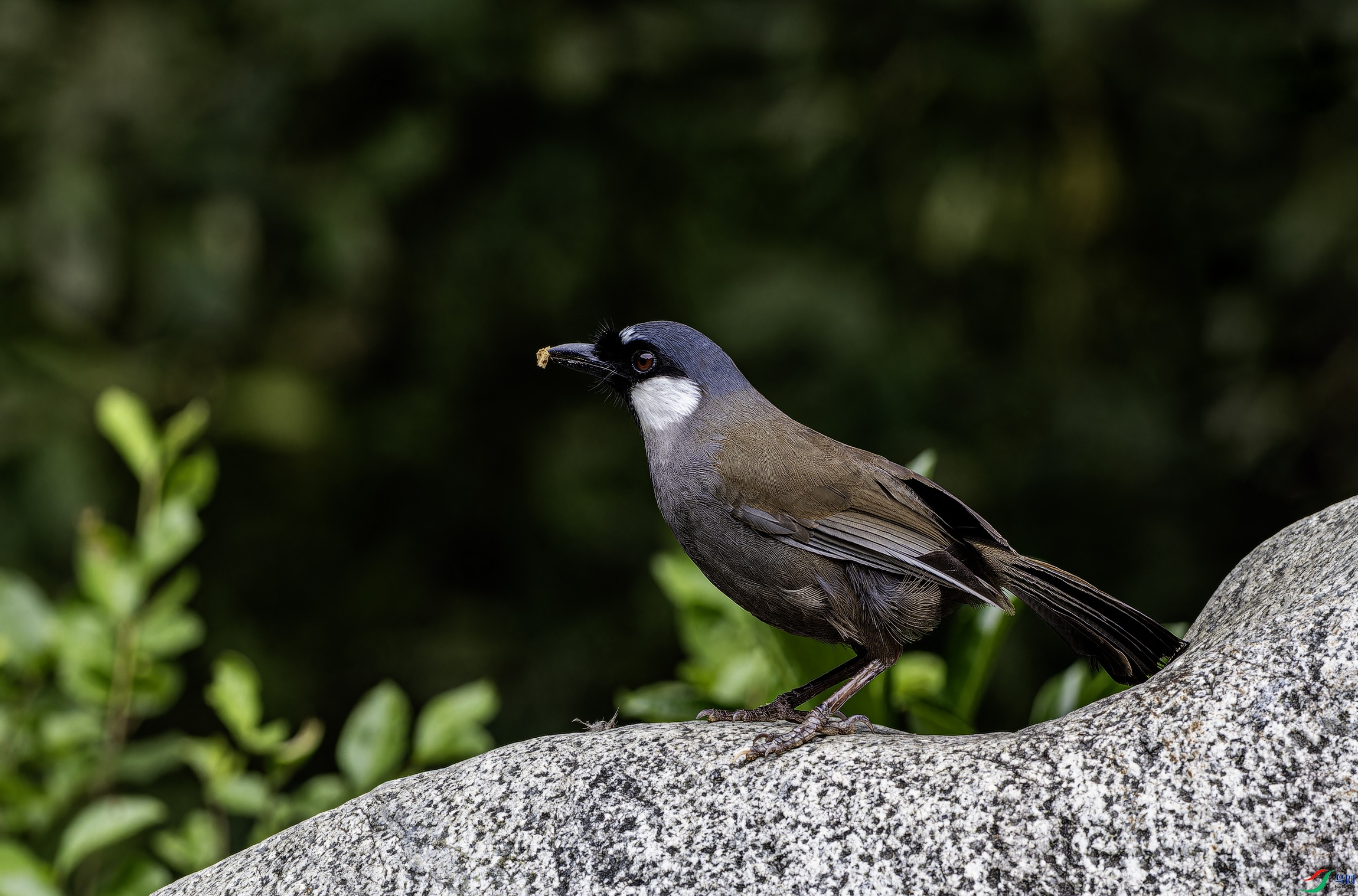 �ں����� (32)-01.jpg