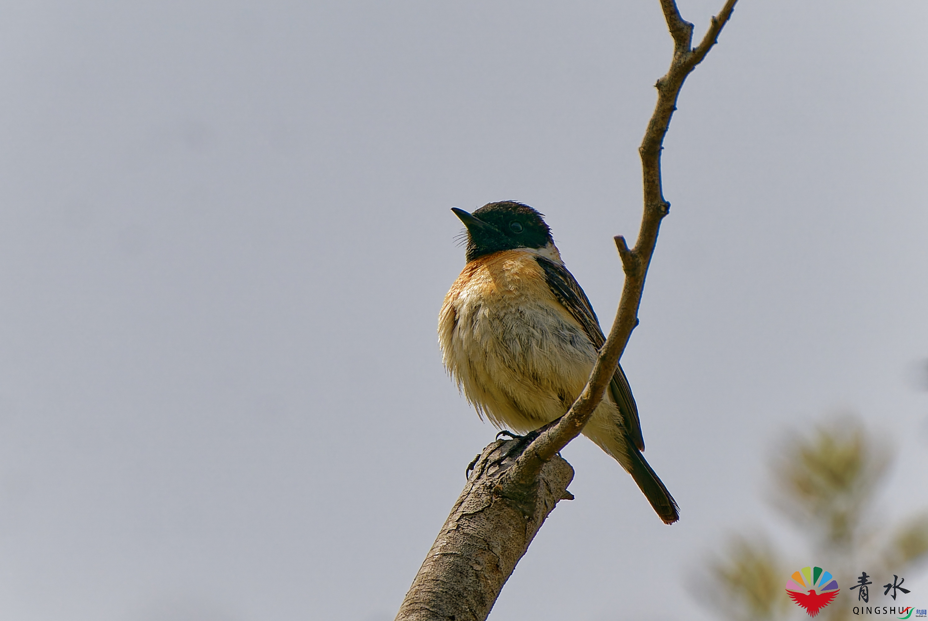 DSC00494_DxO-1.jpg