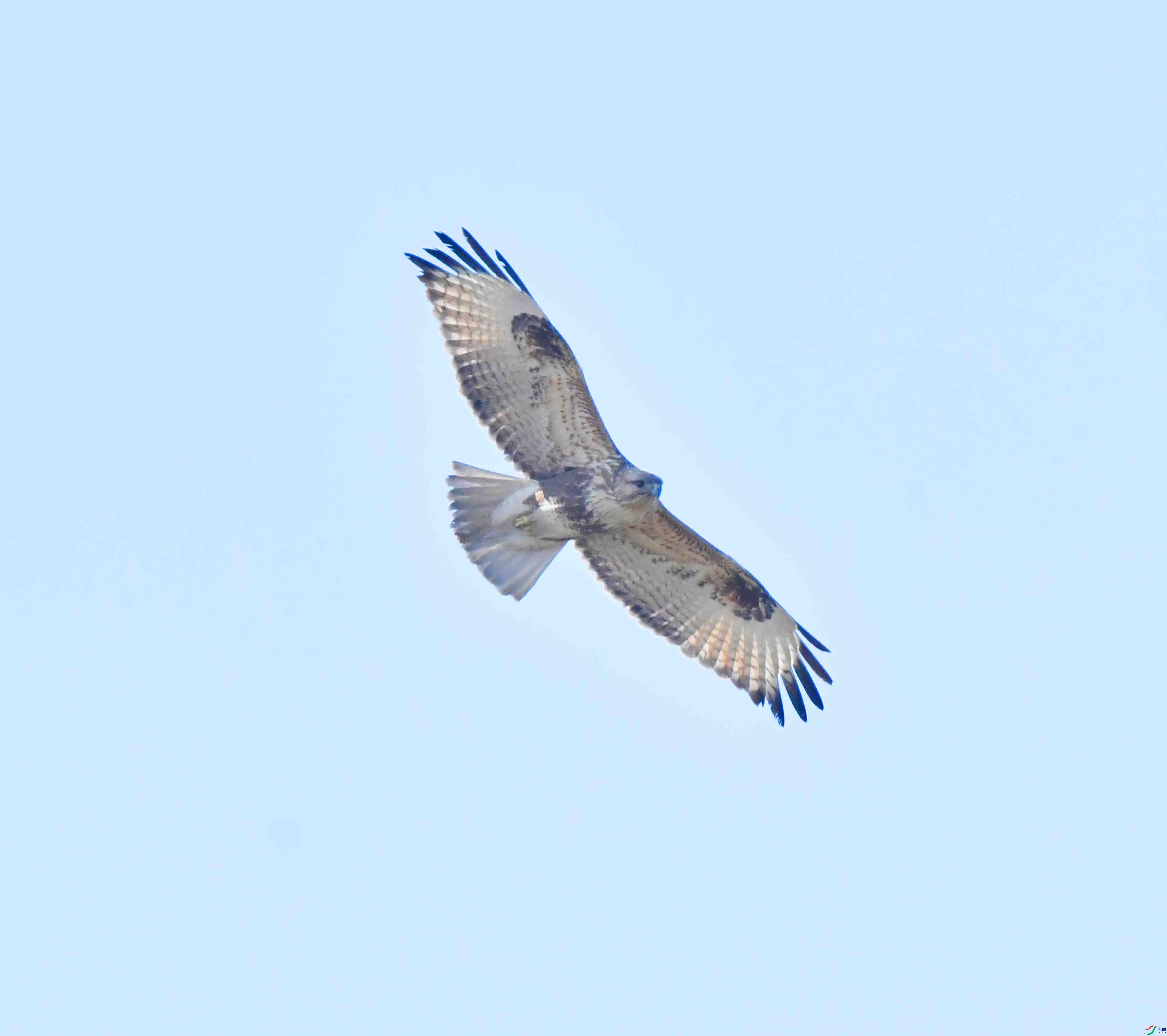 DSC_0782.JPG