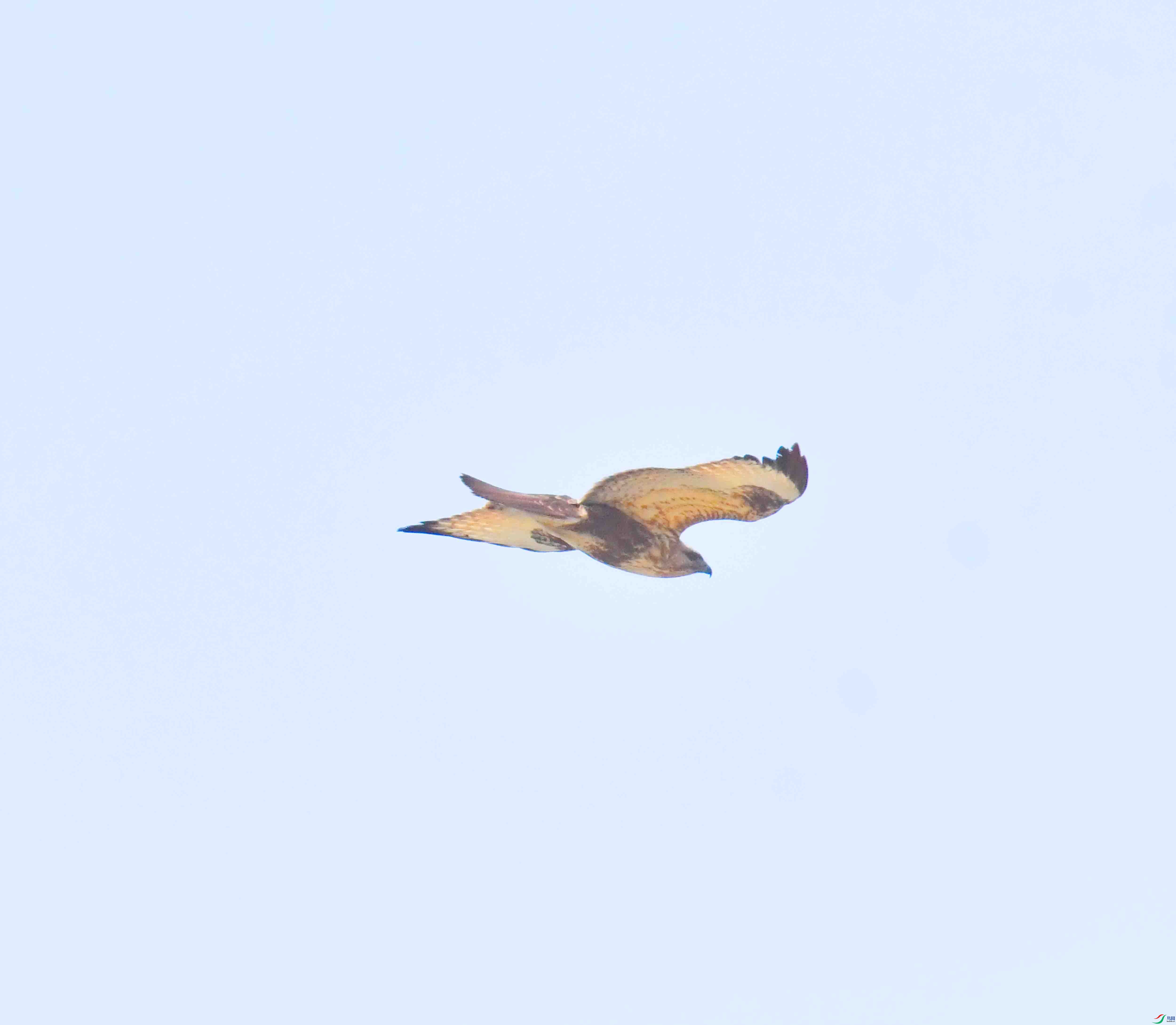 DSC_0793.JPG