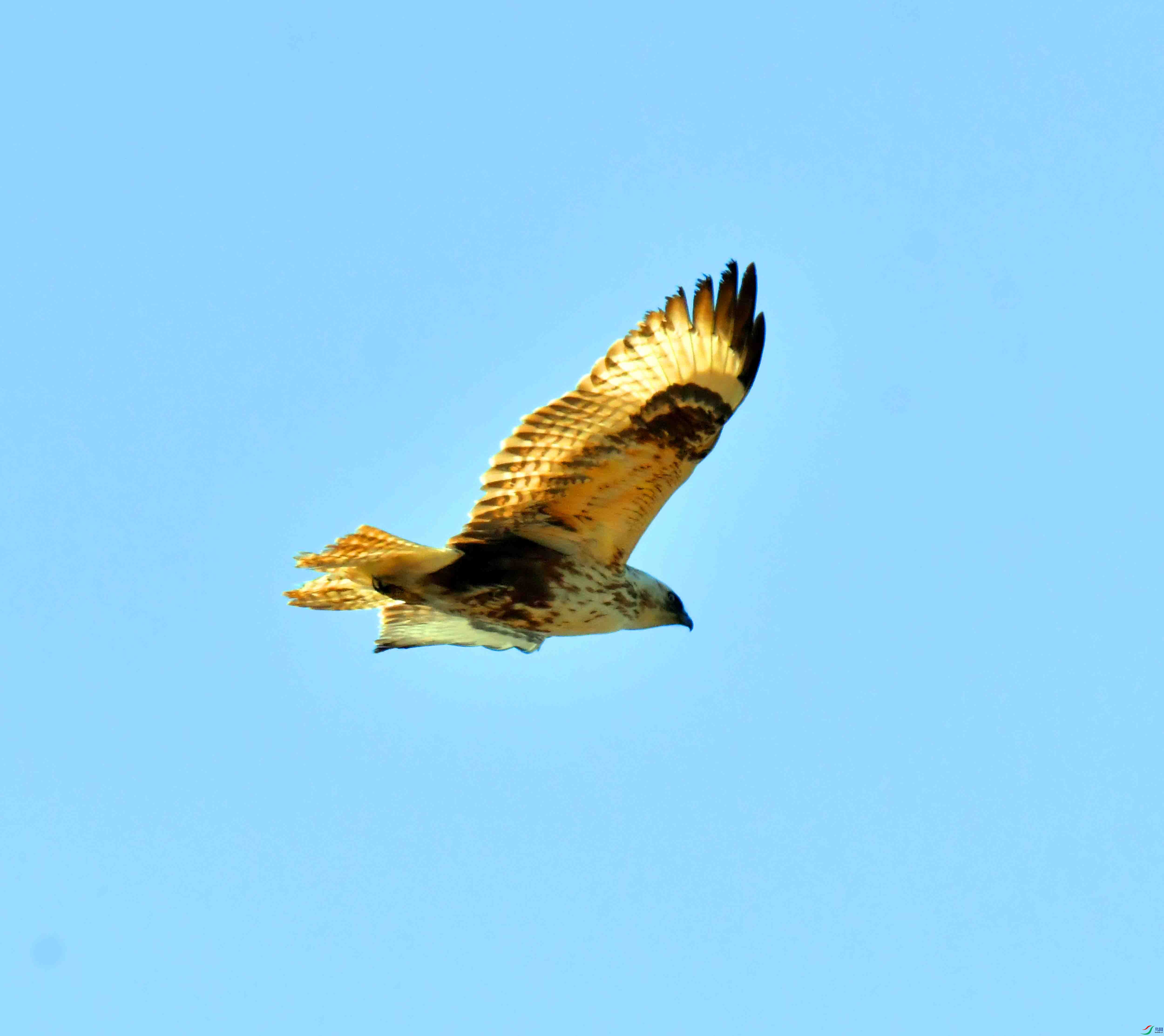 DSC_0909.JPG