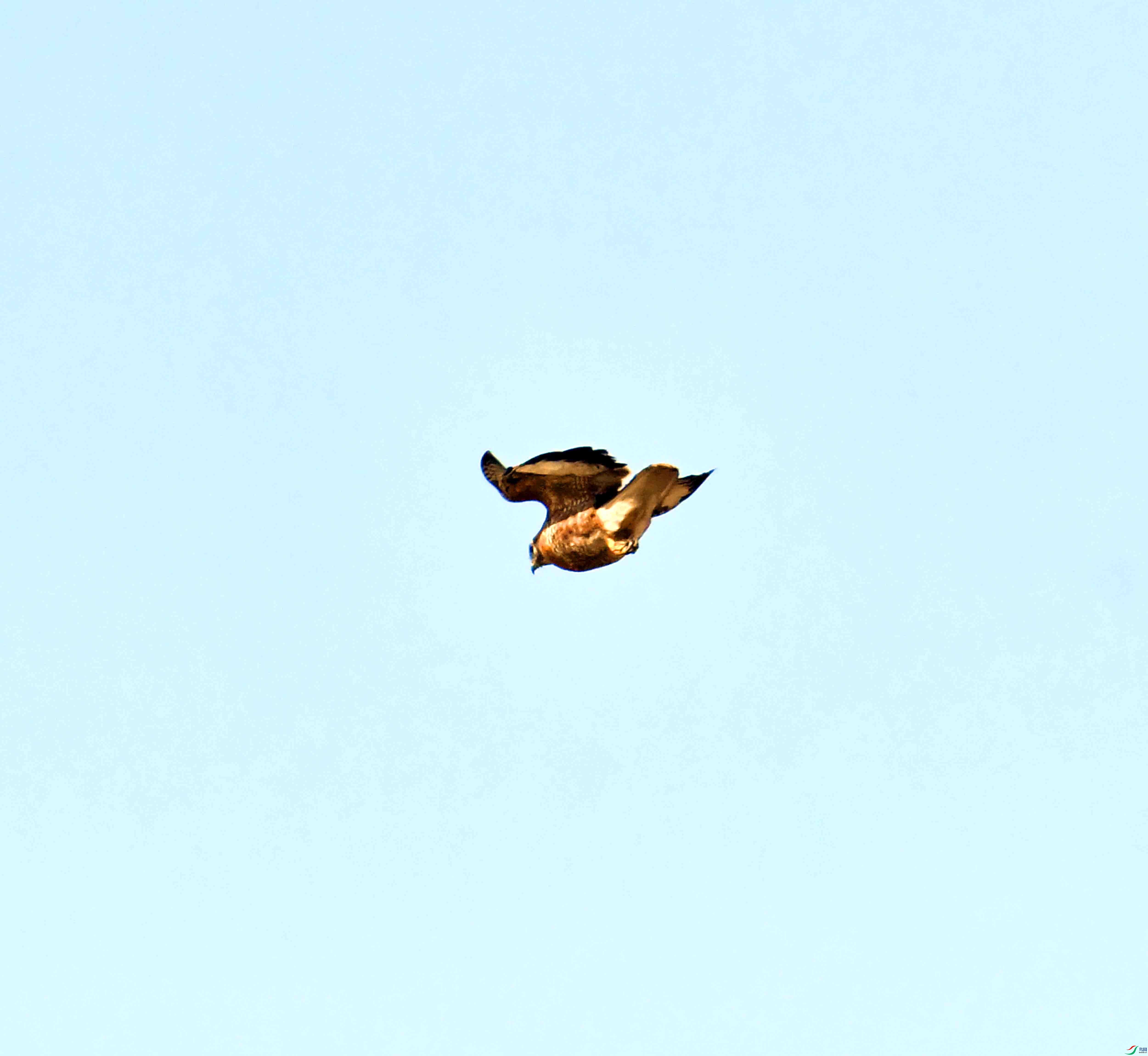 DSC_0882.JPG