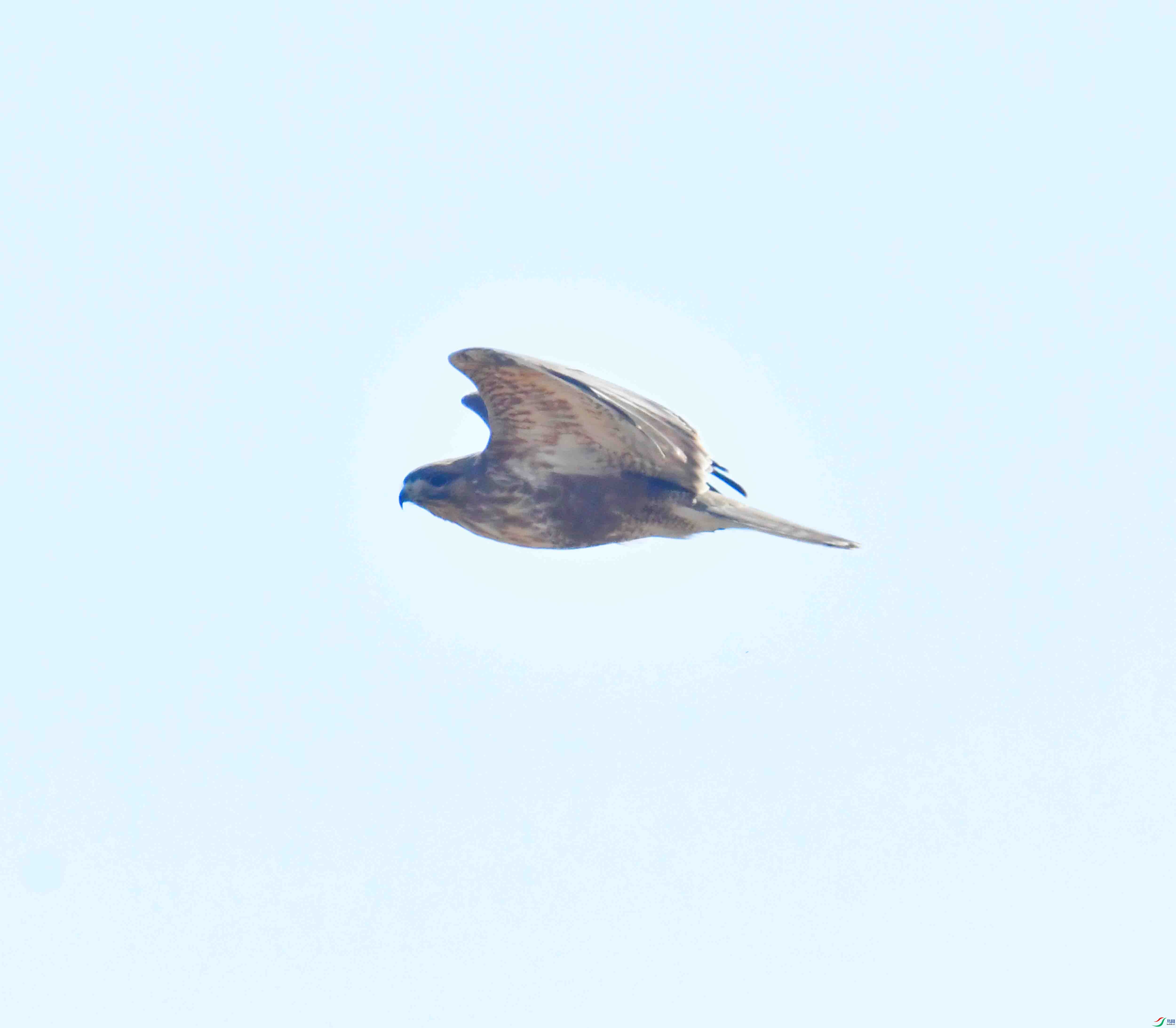 DSC_0933.JPG