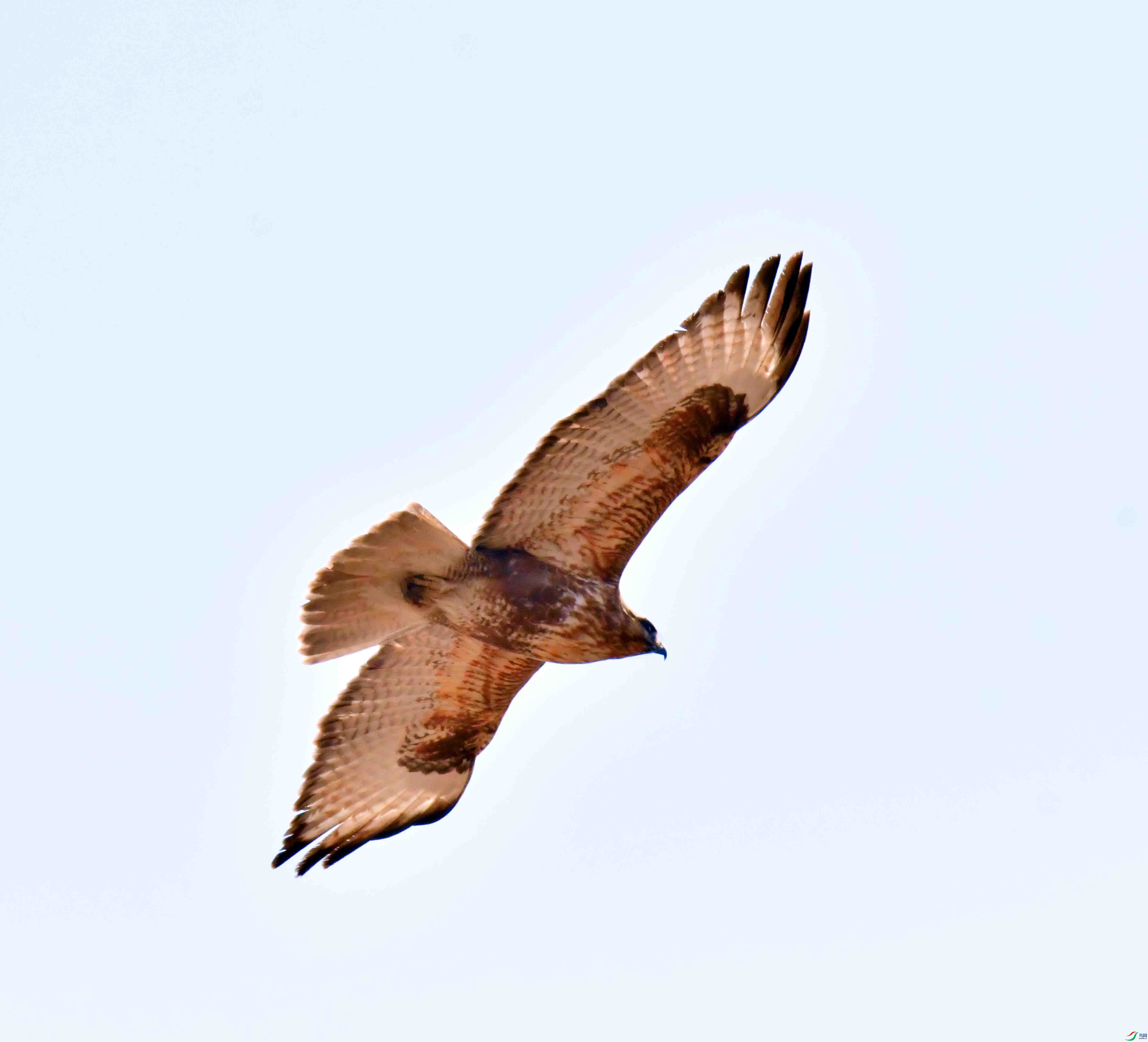 DSC_0948.JPG