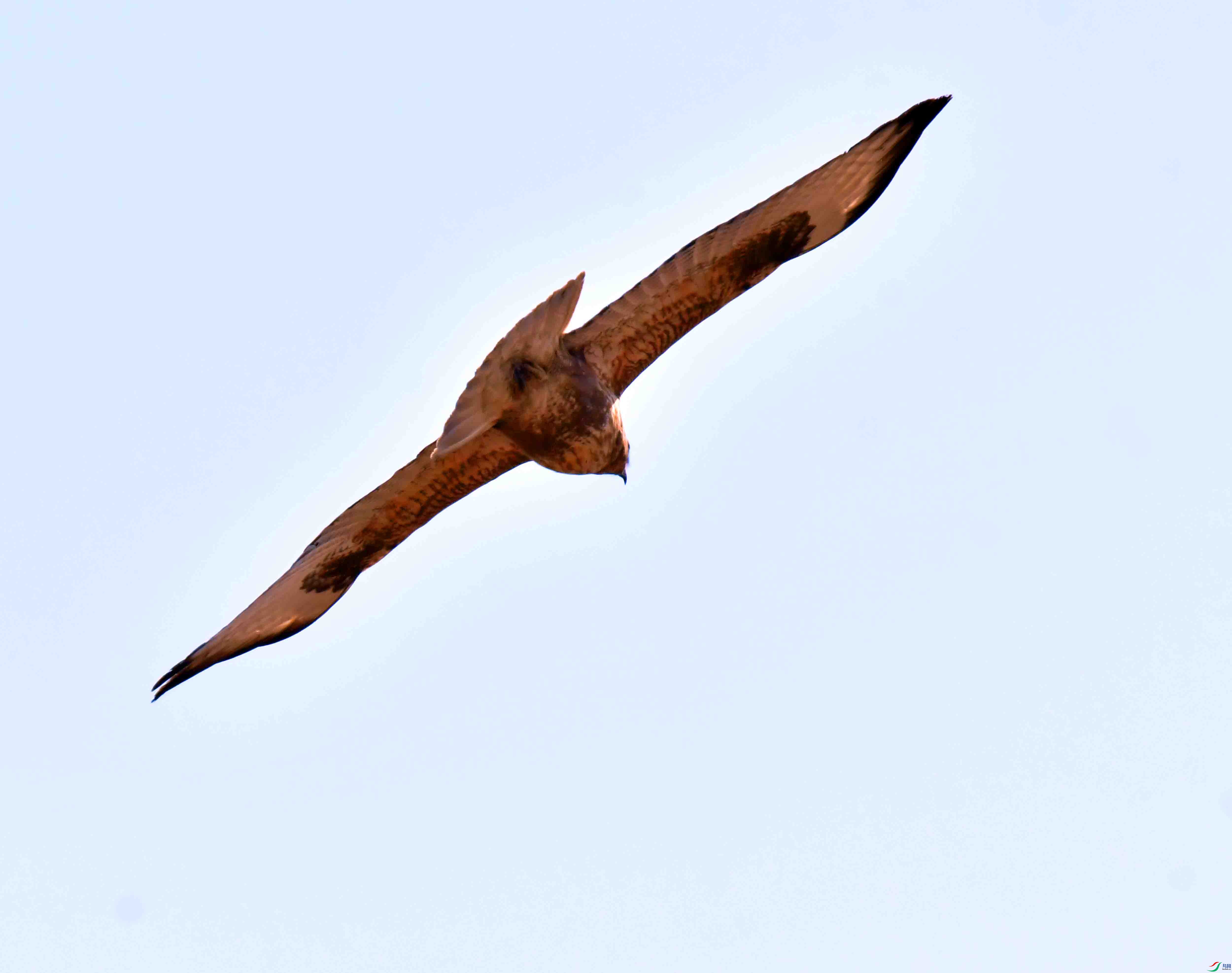 DSC_0949.JPG
