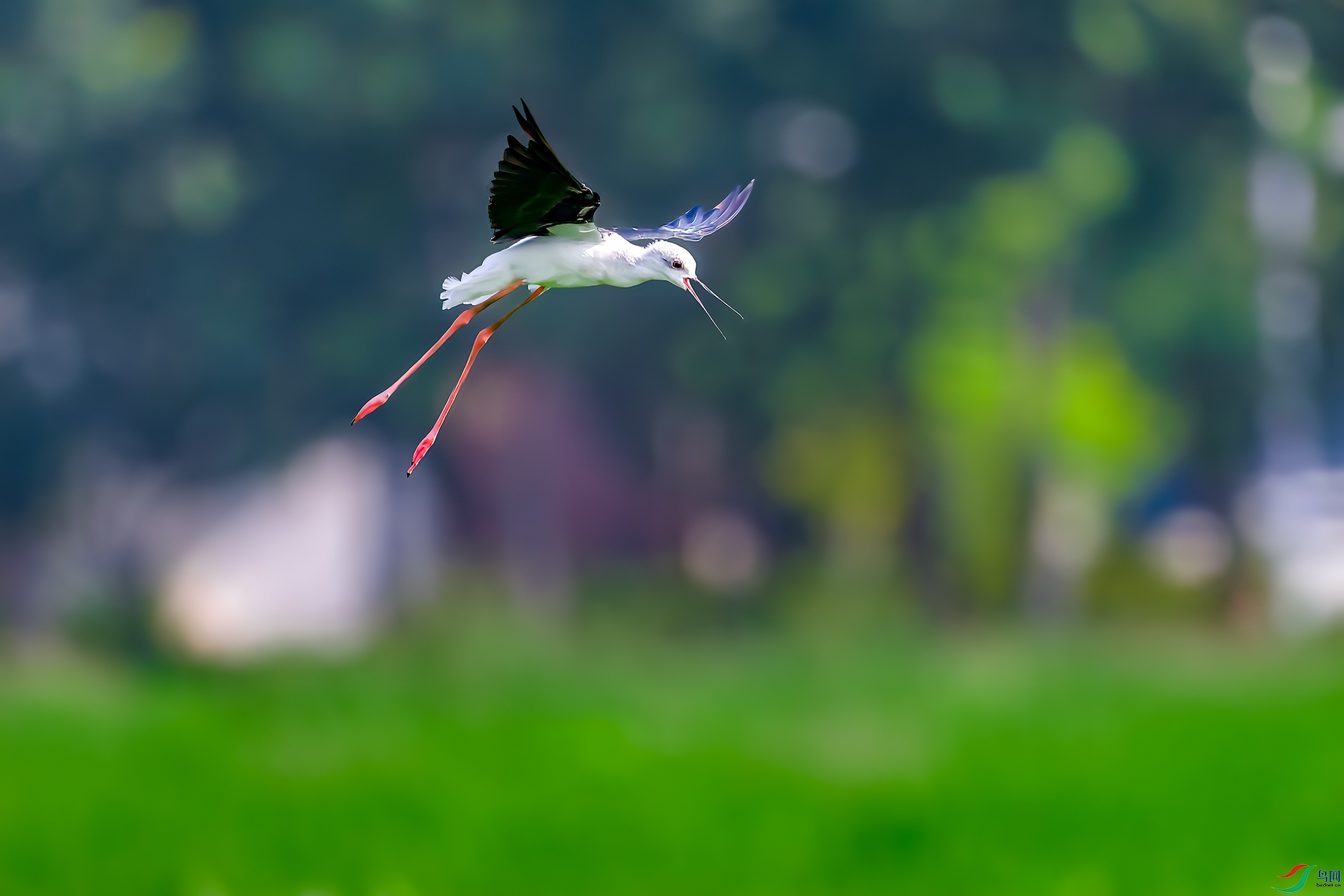 _MG_7644.jpg